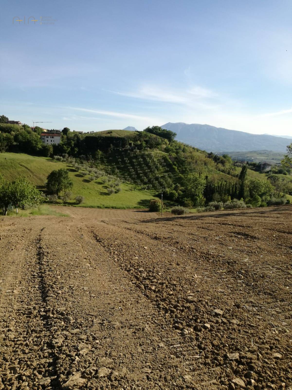 Terreno Agricolo in vendita a Castorano, Collinare