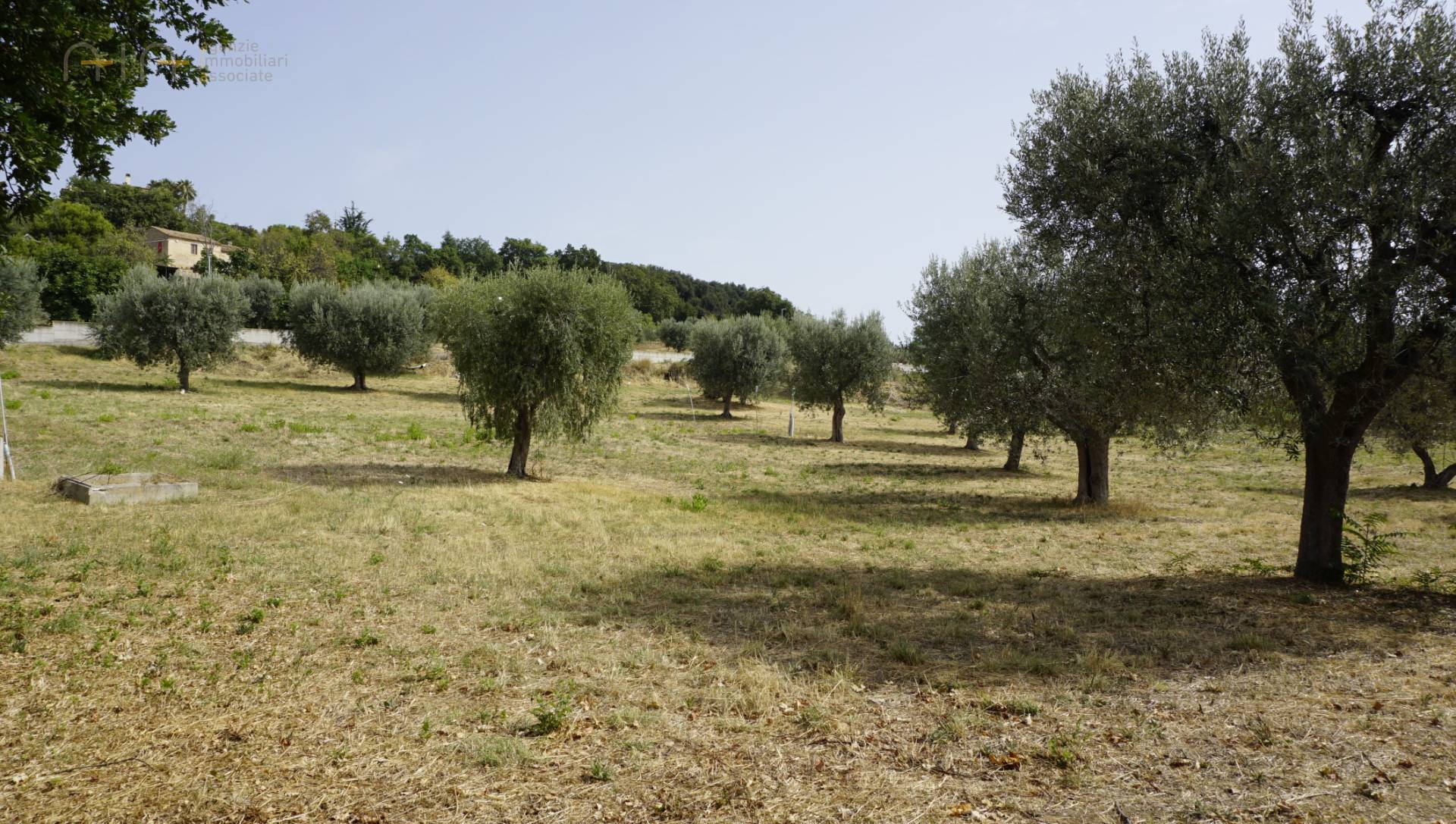 Terreno Edificabile Residenziale in vendita a Grottammare, Residenziale nord (sopra La ss16, a nord 