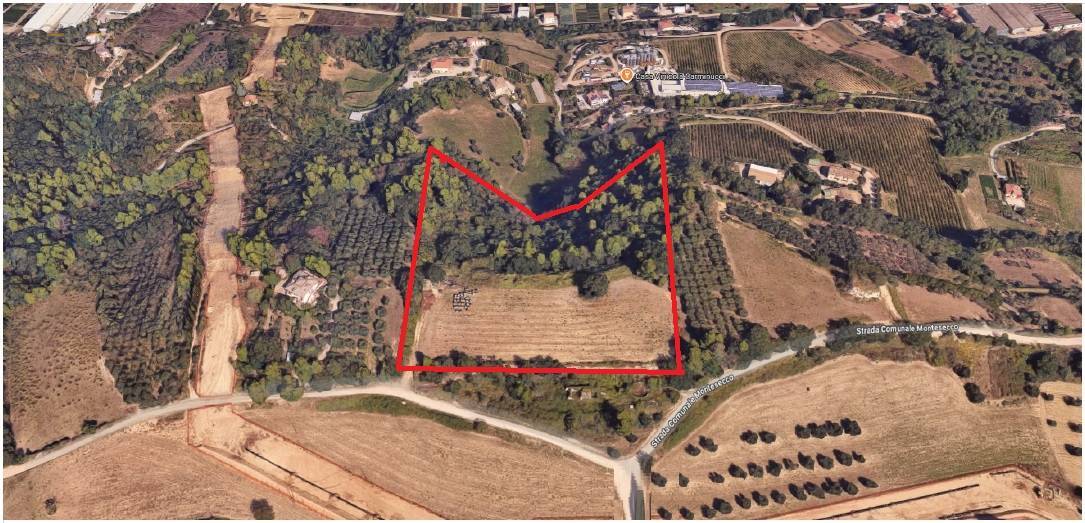 Terreno Agricolo in vendita a Grottammare, Collinare (zona di campagna interna)