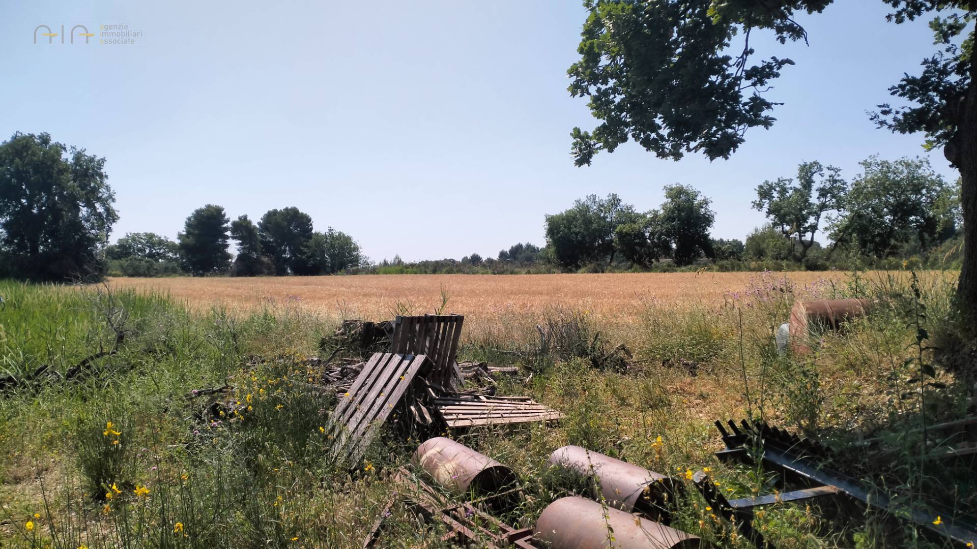 Terreno Agricolo in vendita a Grottammare, Collinare (zona di campagna interna)