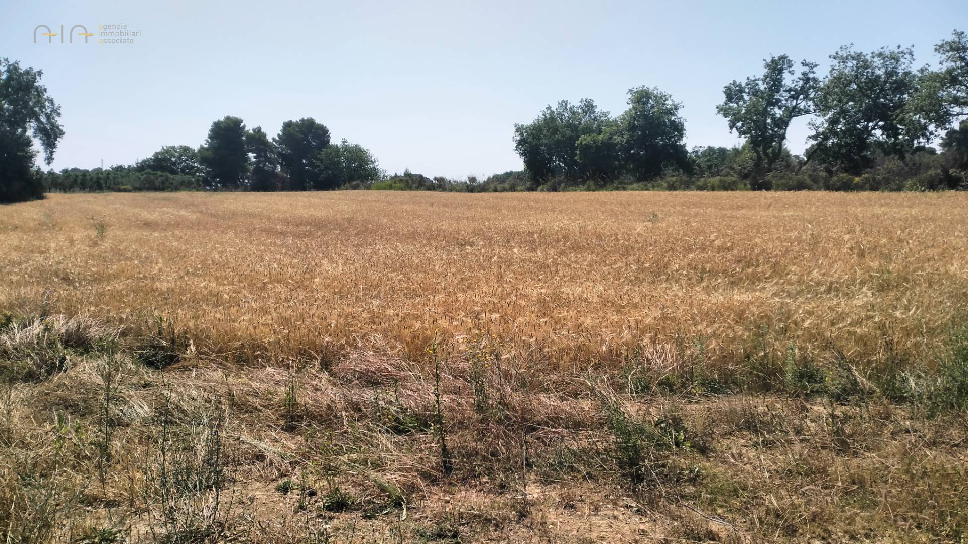 Terreno Agricolo in vendita a Grottammare, Collinare (zona di campagna interna)