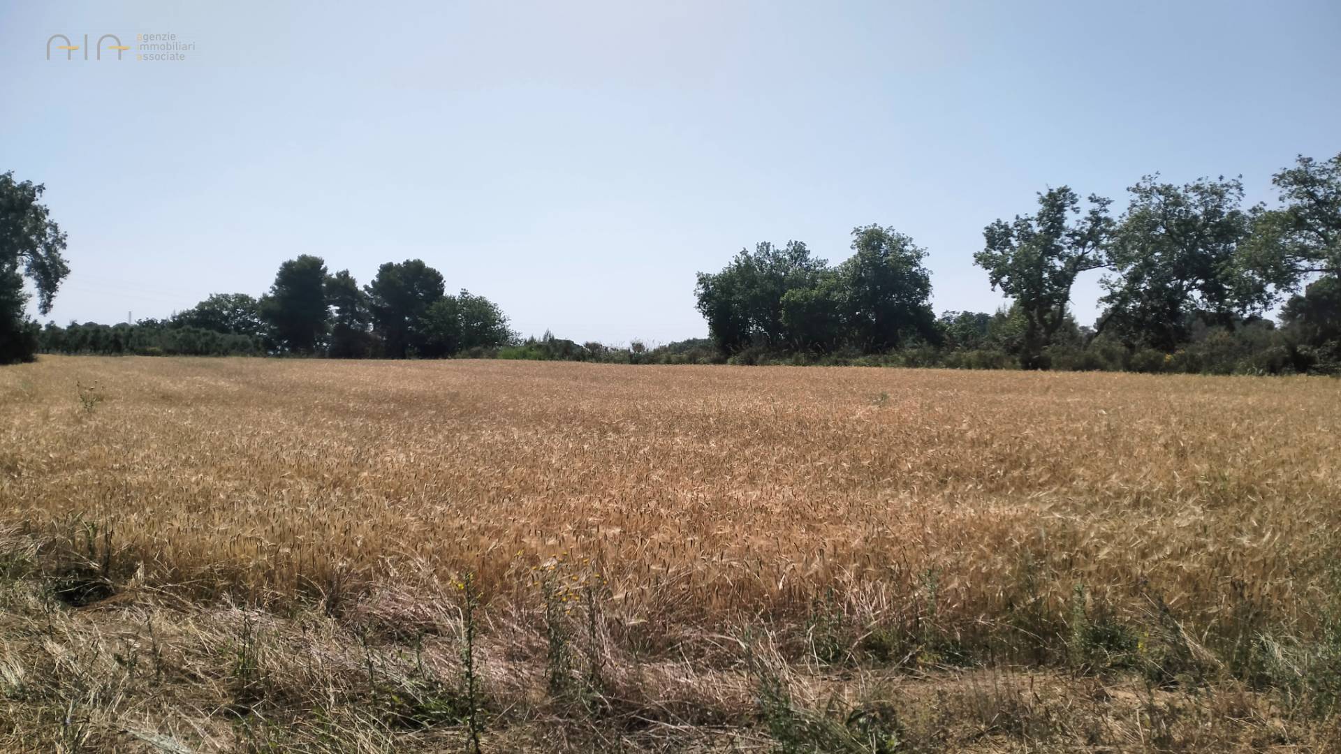 Terreno Agricolo in vendita a Grottammare, Collinare (zona di campagna interna)
