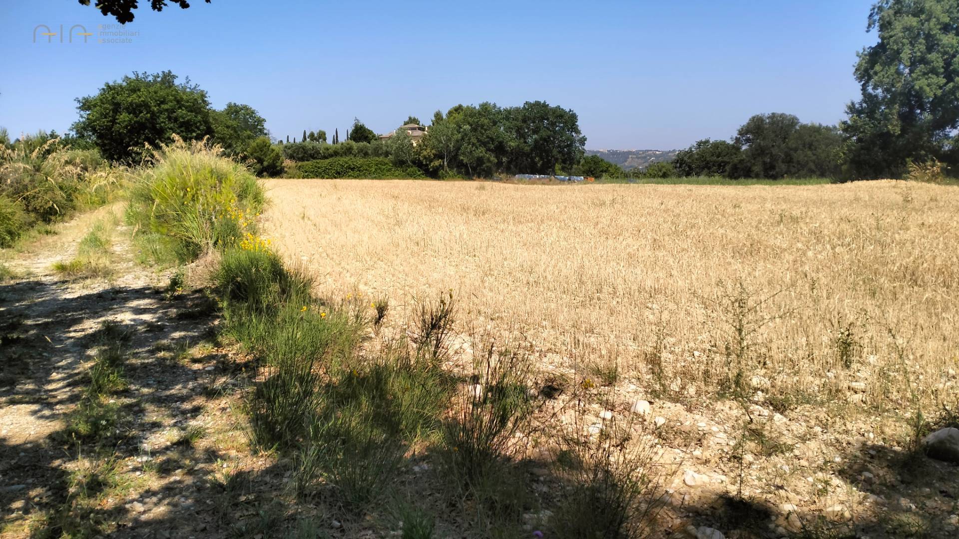 Terreno Agricolo in vendita a Grottammare, Collinare (zona di campagna interna)