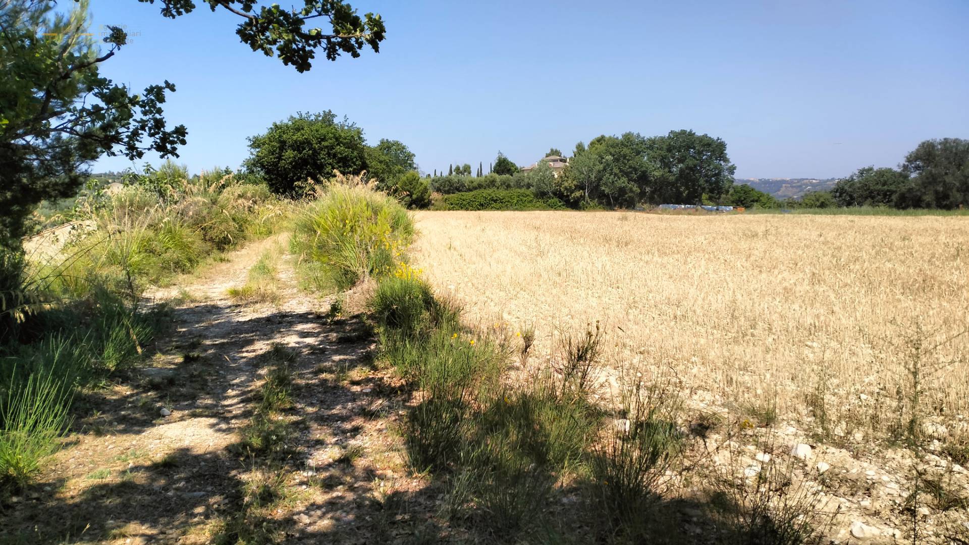 Terreno Agricolo in vendita a Grottammare, Collinare (zona di campagna interna)