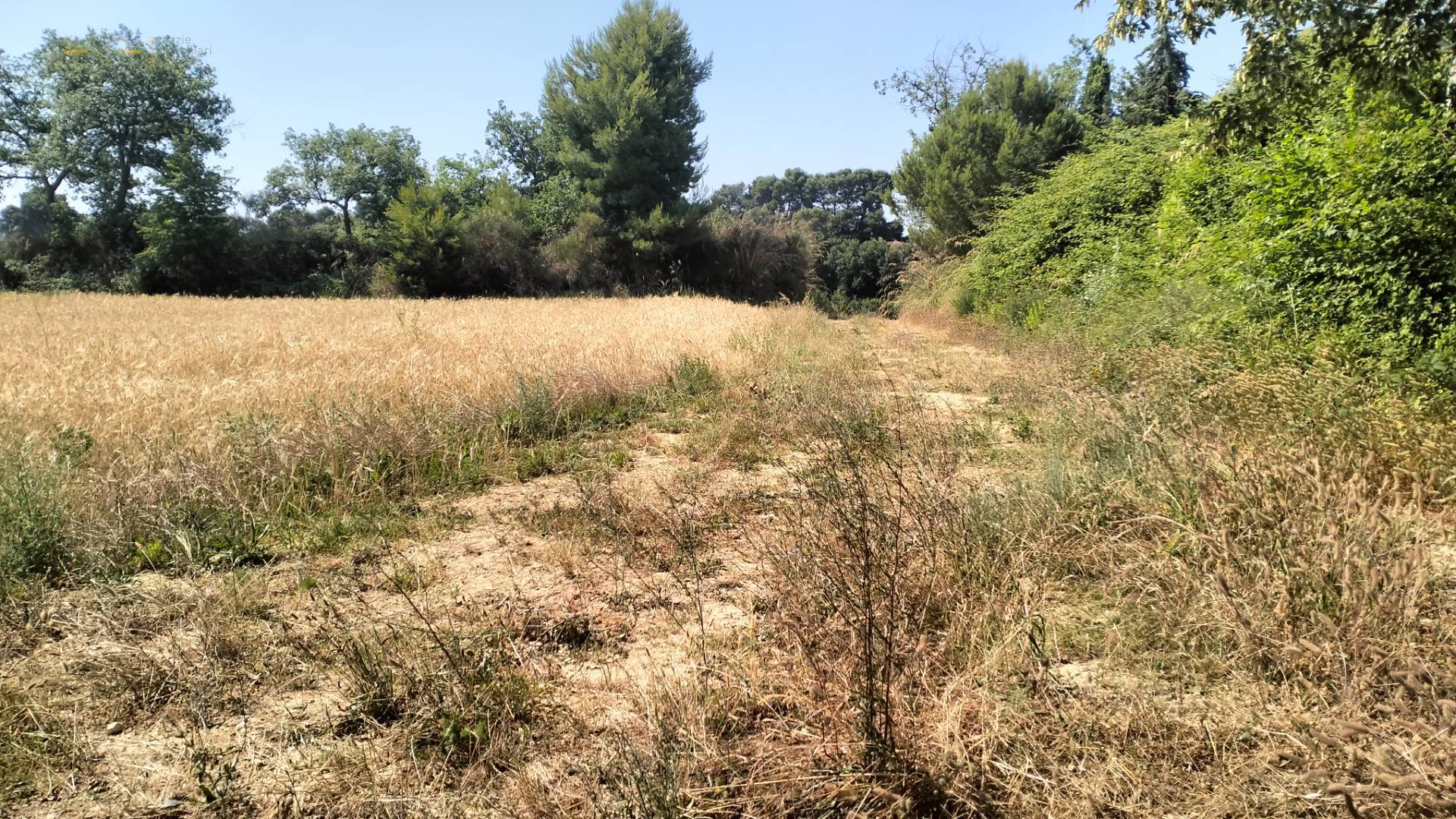 Terreno Agricolo in vendita a Grottammare, Collinare (zona di campagna interna)