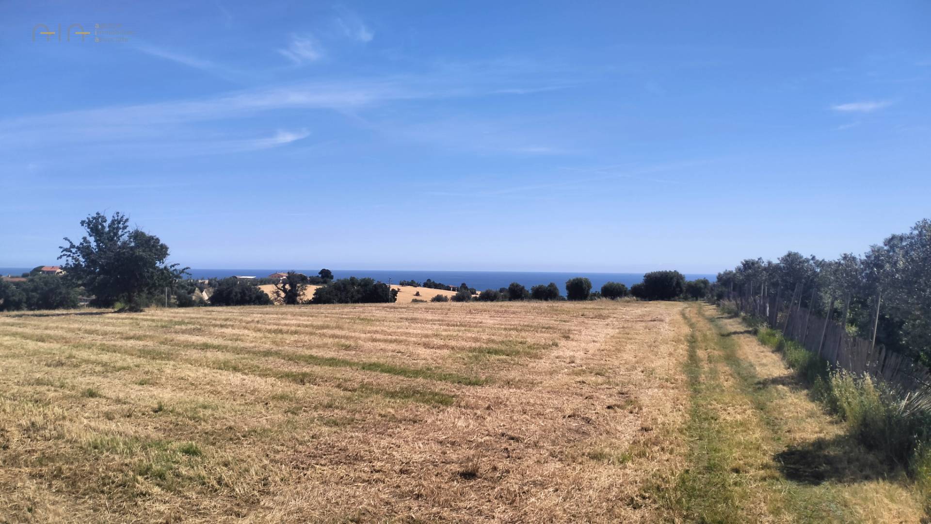 Terreno Agricolo in vendita a Grottammare, Collinare (zona di campagna interna)