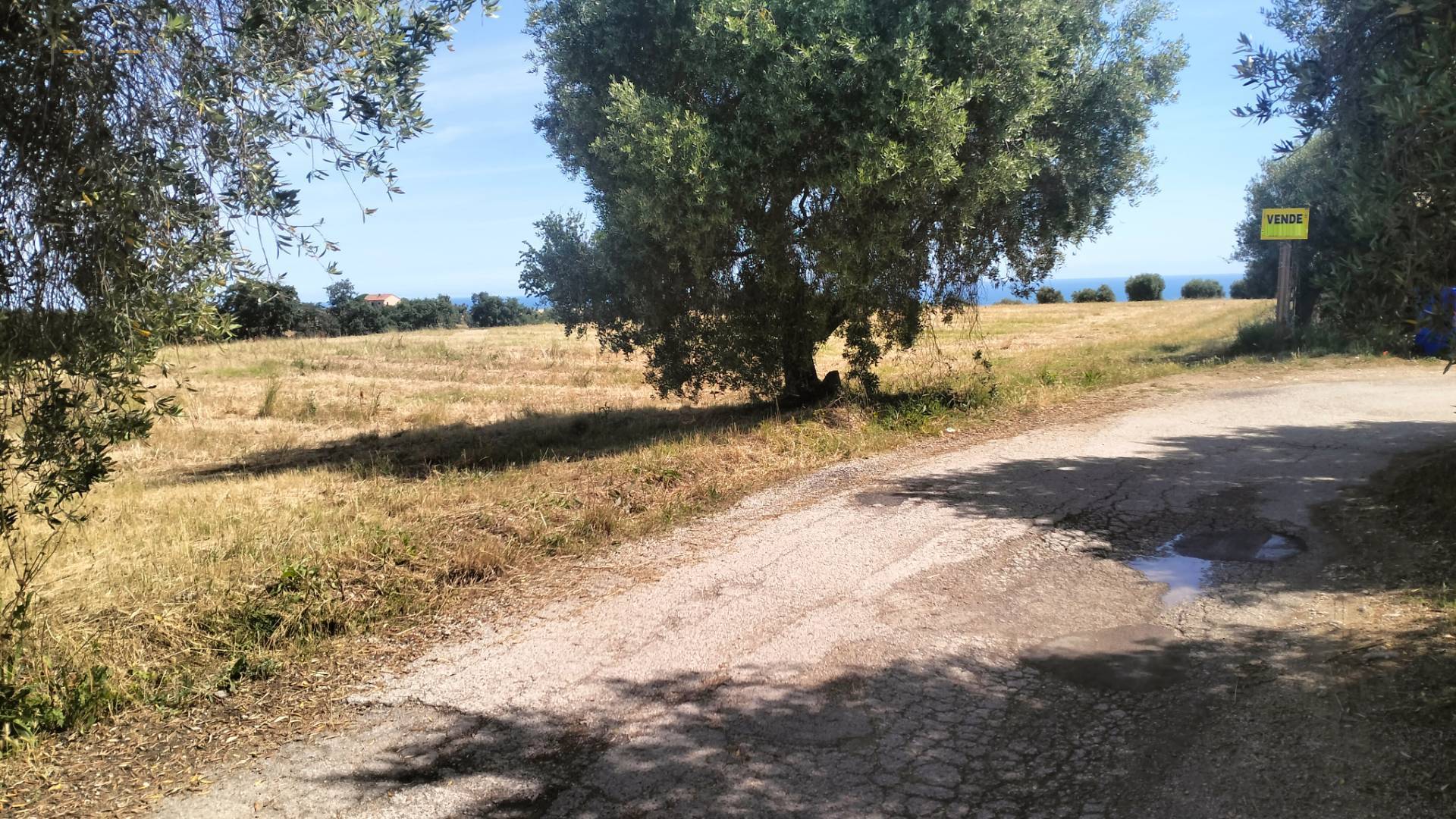 Terreno Agricolo in vendita a Grottammare, Collinare (zona di campagna interna)