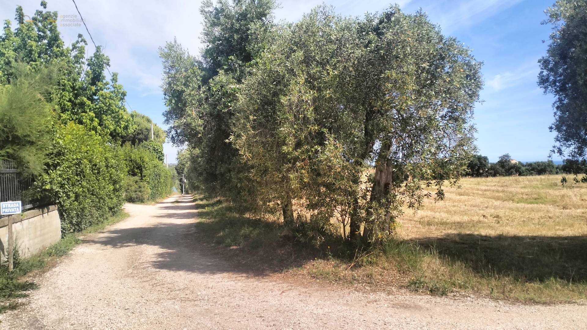 Terreno Agricolo in vendita a Grottammare, Collinare (zona di campagna interna)