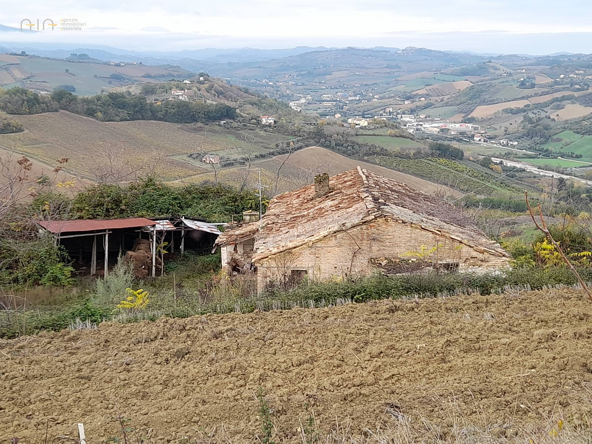 immagine annuncio 1 di 4