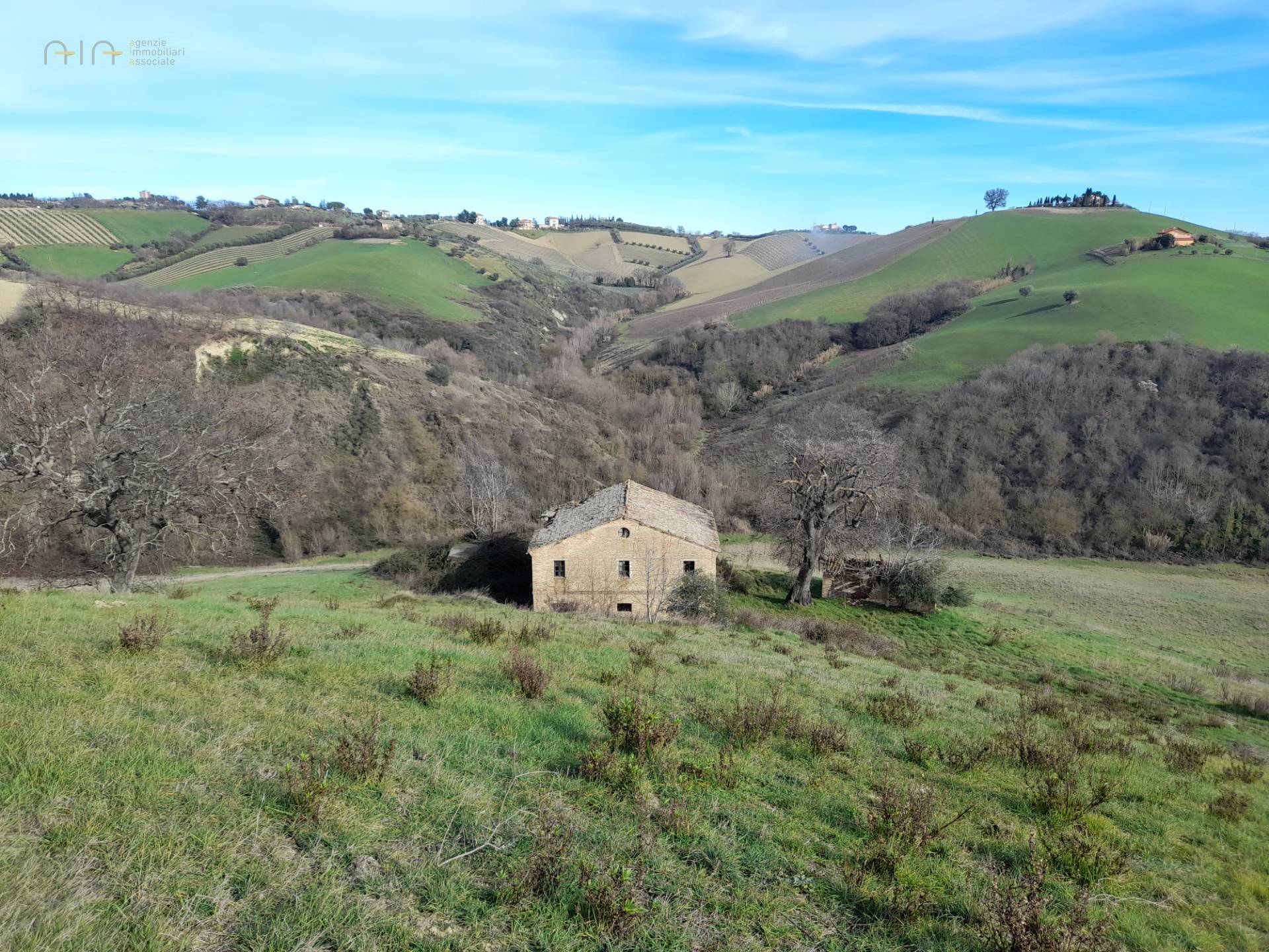 immagine annuncio 1 di 6