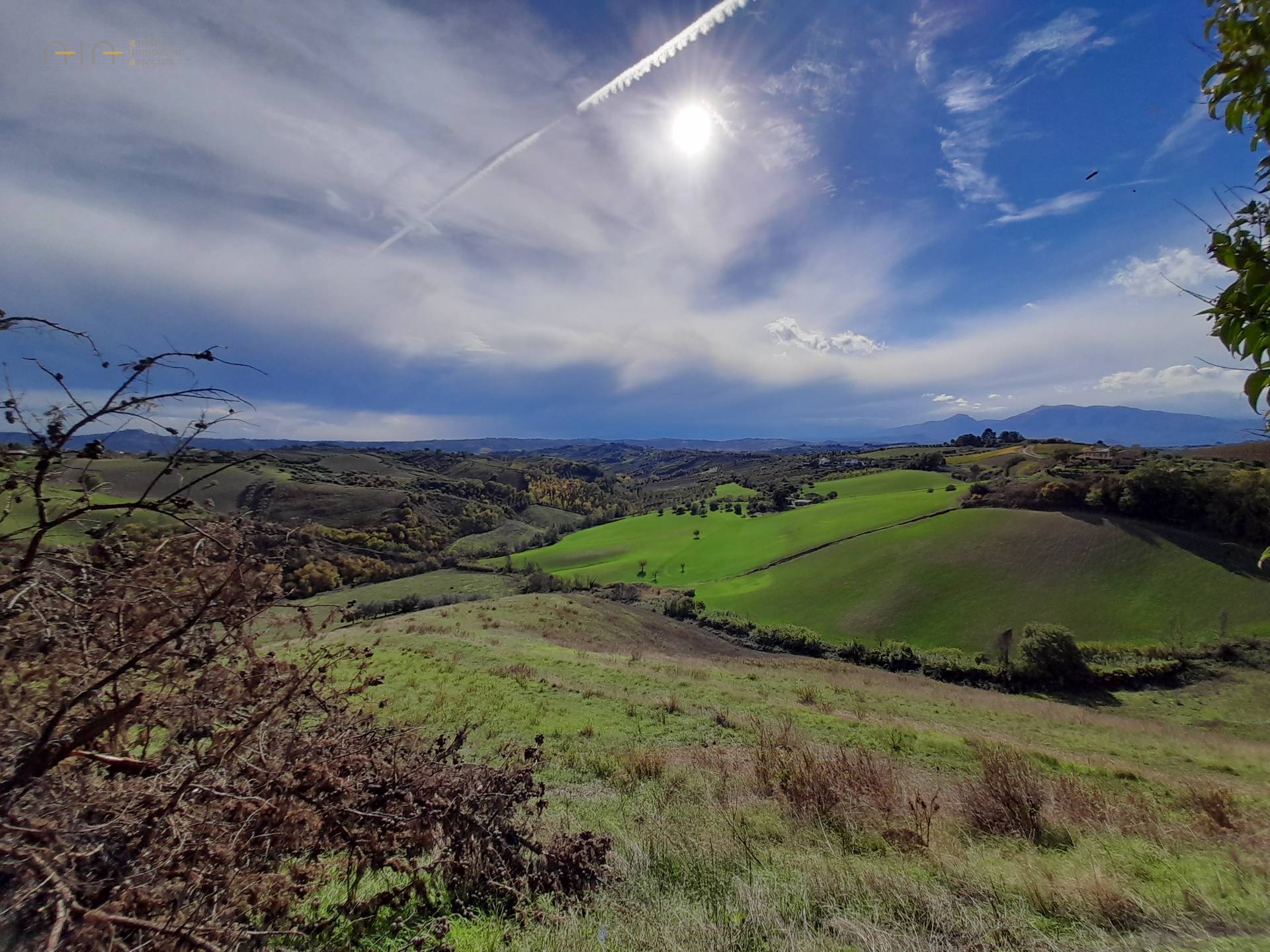 immagine annuncio 3 di 8