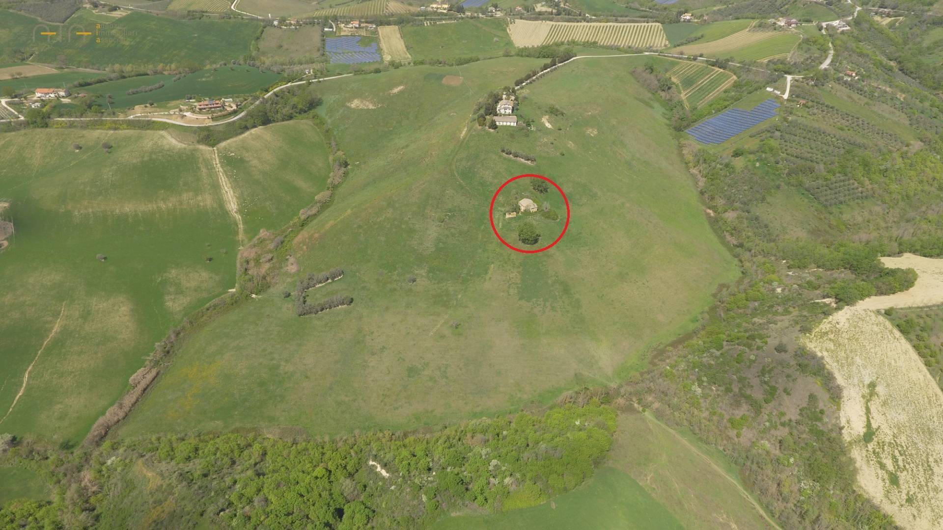 immagine annuncio 5 di 8