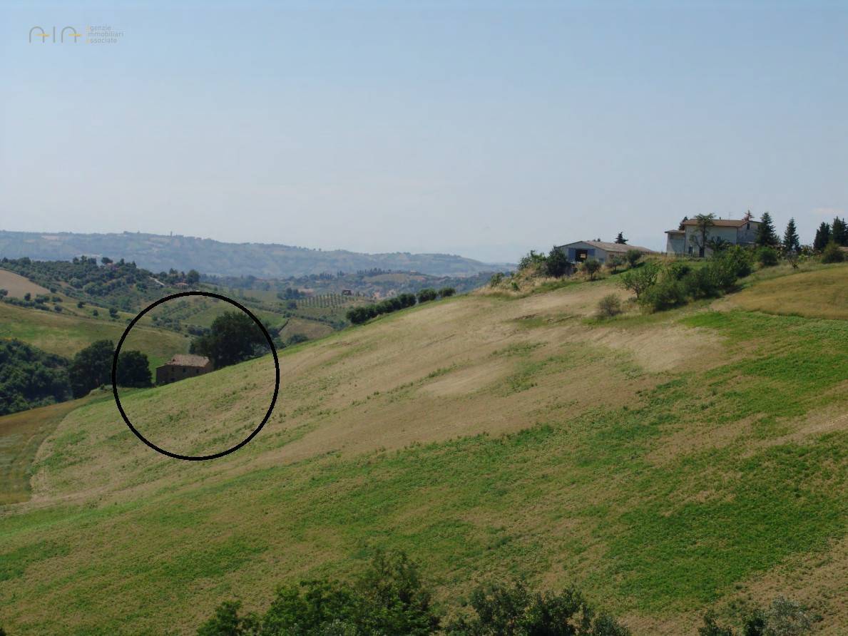 immagine annuncio 7 di 8