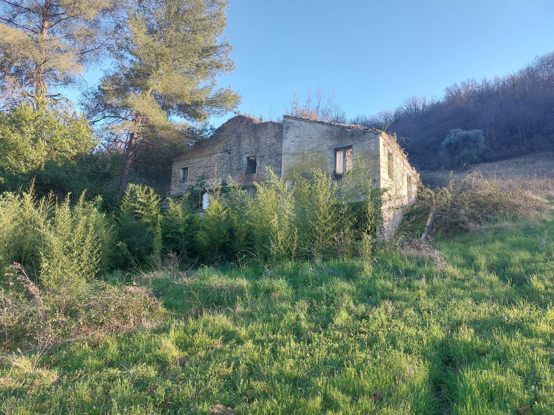 Rustico da ristrutturare, Ripatransone val tesino