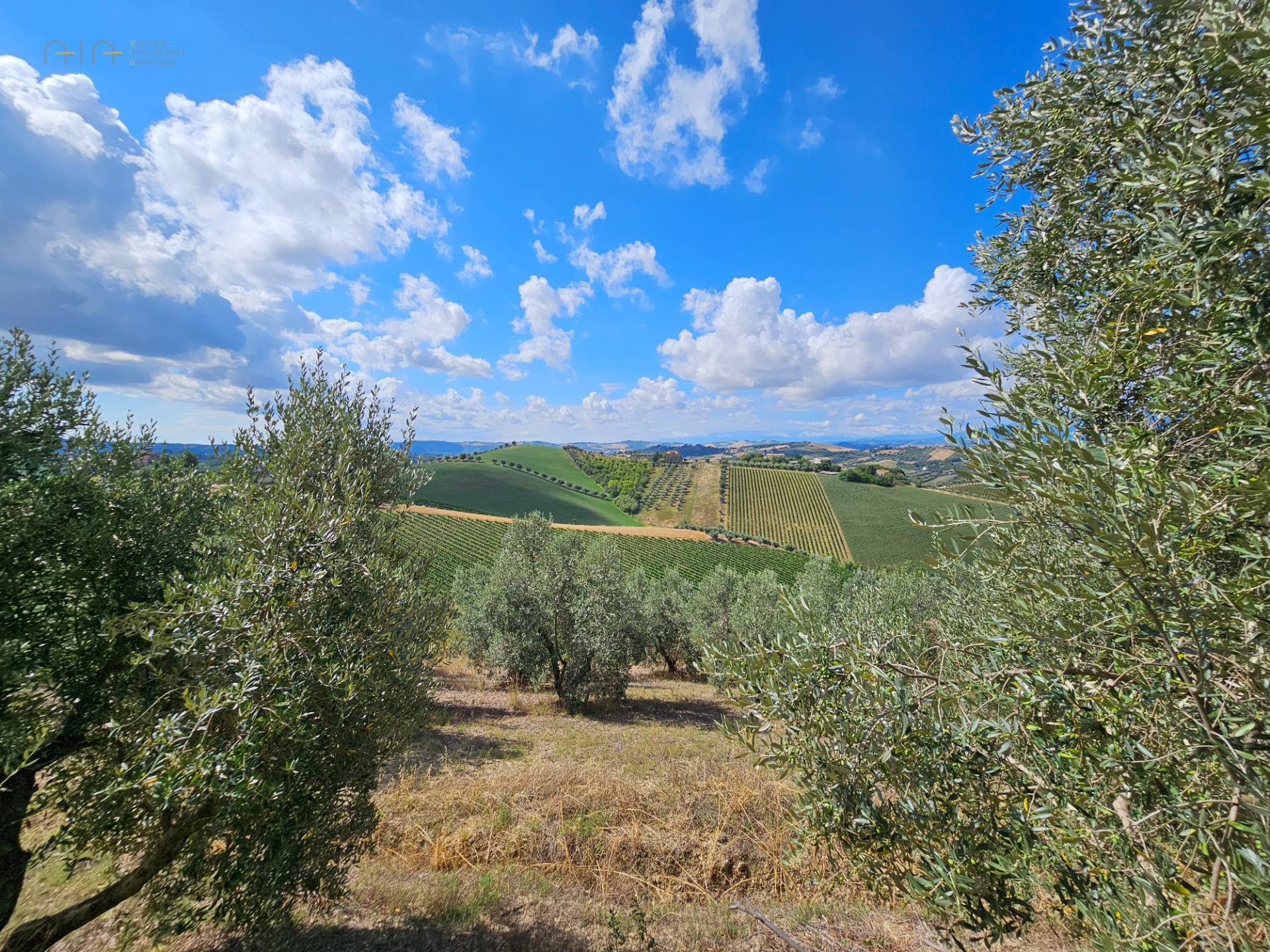 Casale Colonico in vendita a Acquaviva Picena, Forola