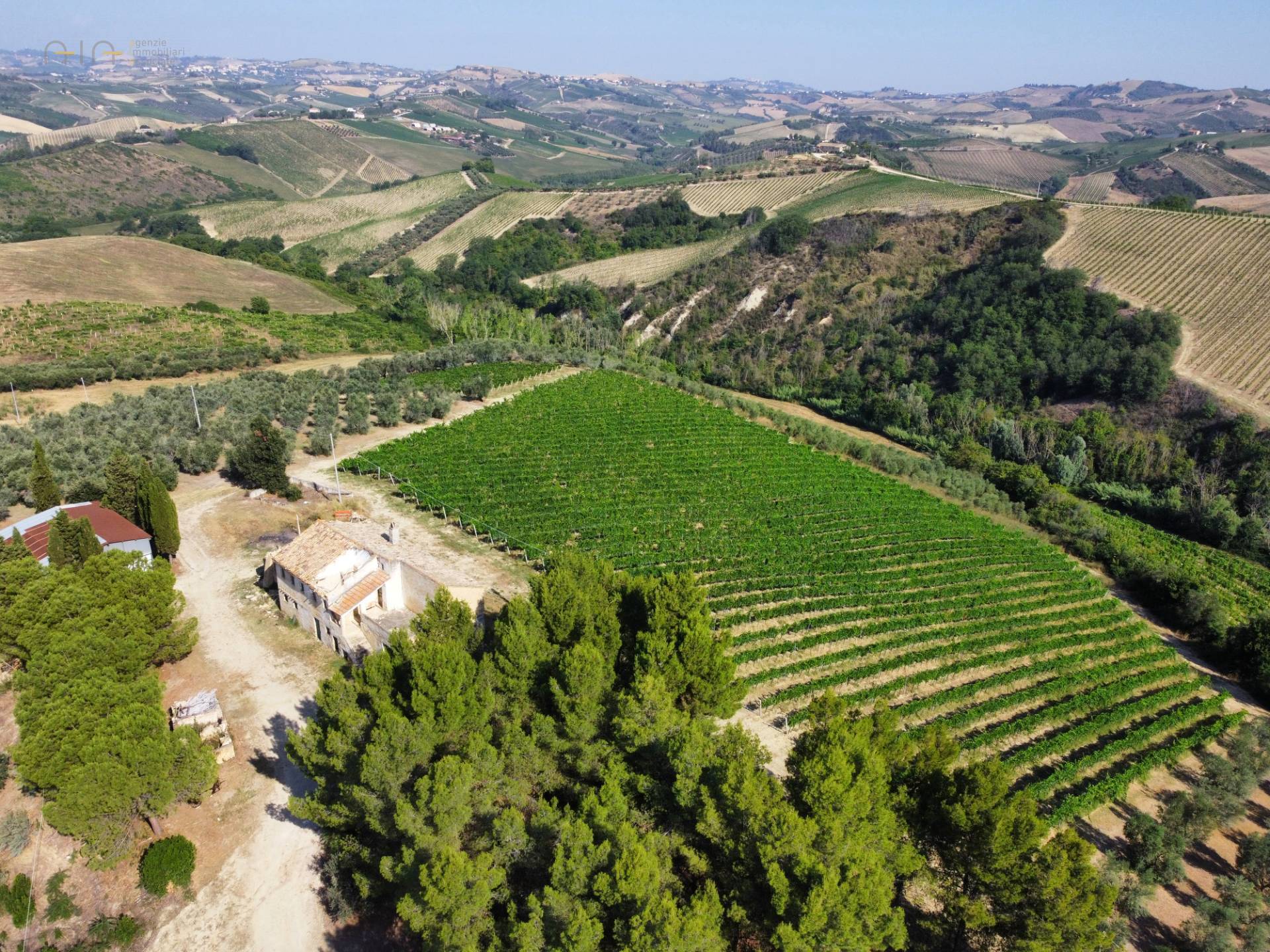 Casale Colonico Rustico in vendita a Acquaviva Picena, Forola