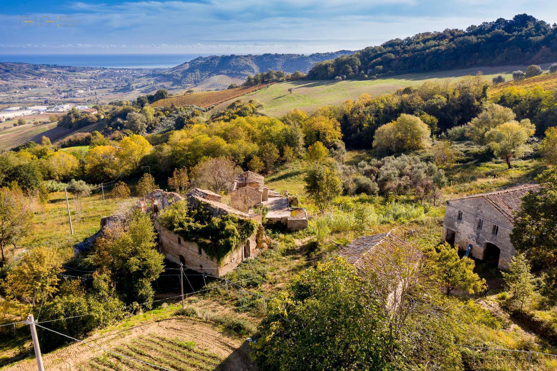 Casale Colonico Rustico in vendita a Ripatransone, Collinare
