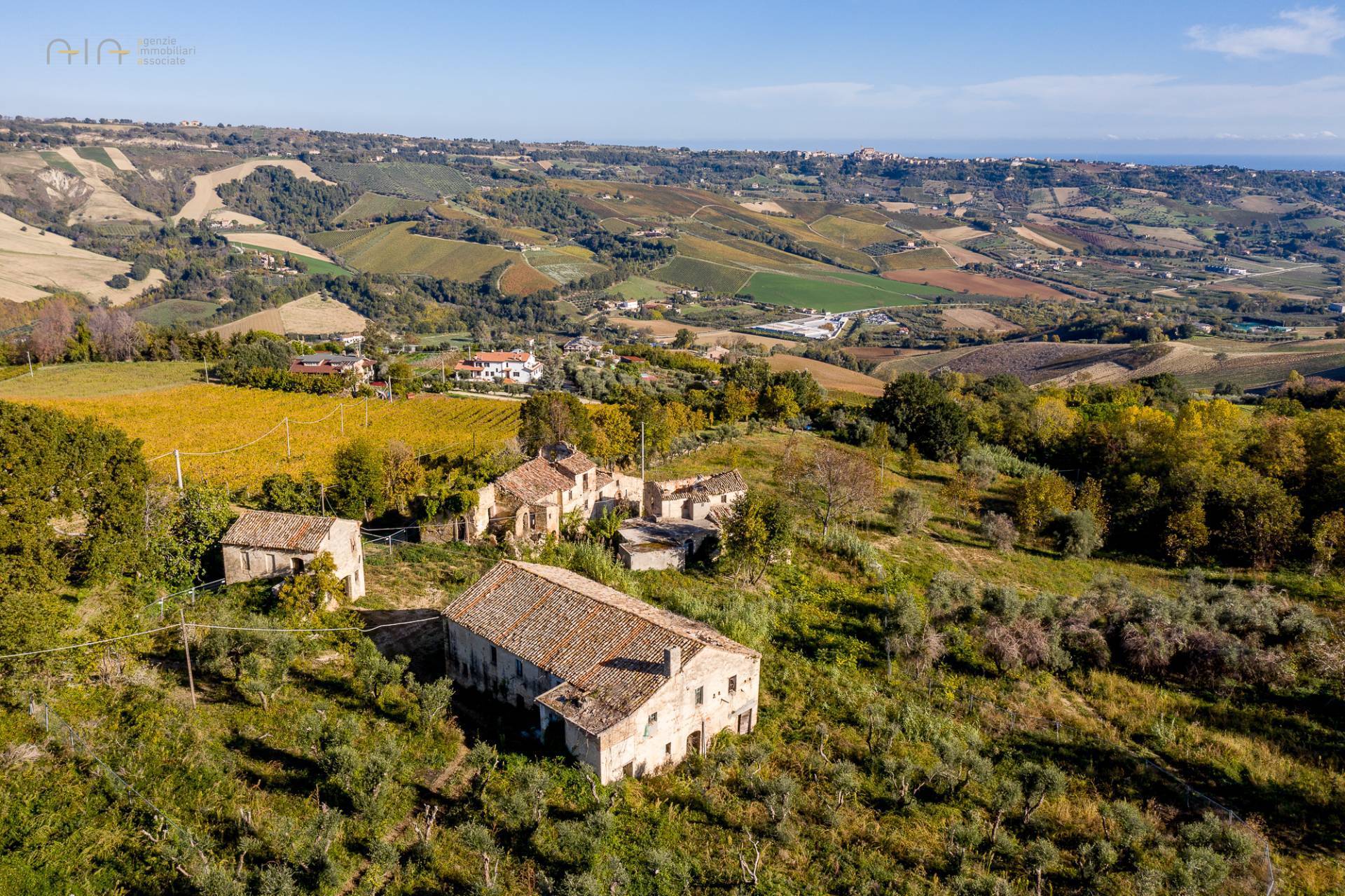 immagine annuncio 2 di 6