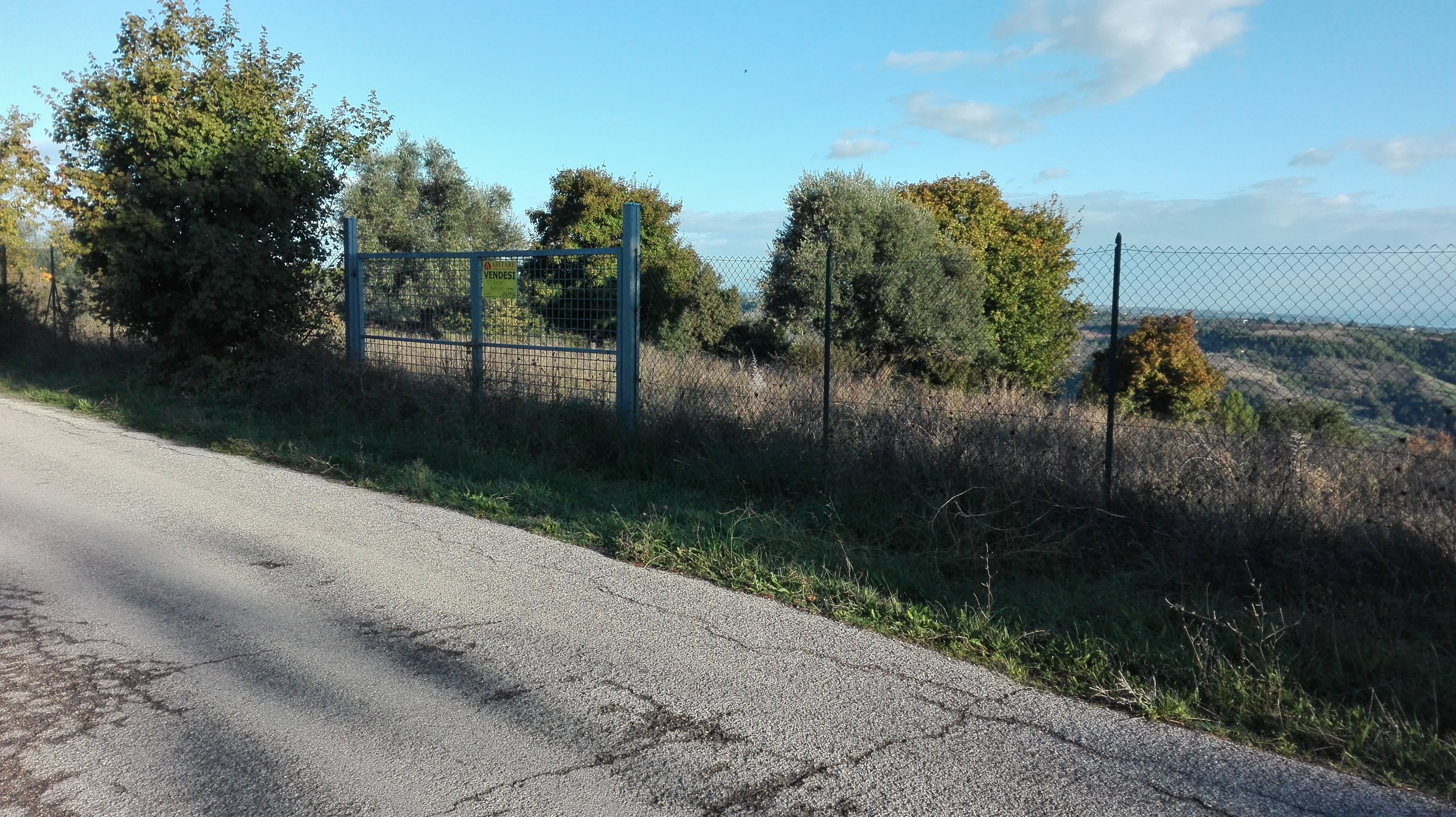 immagine annuncio 2 di 6