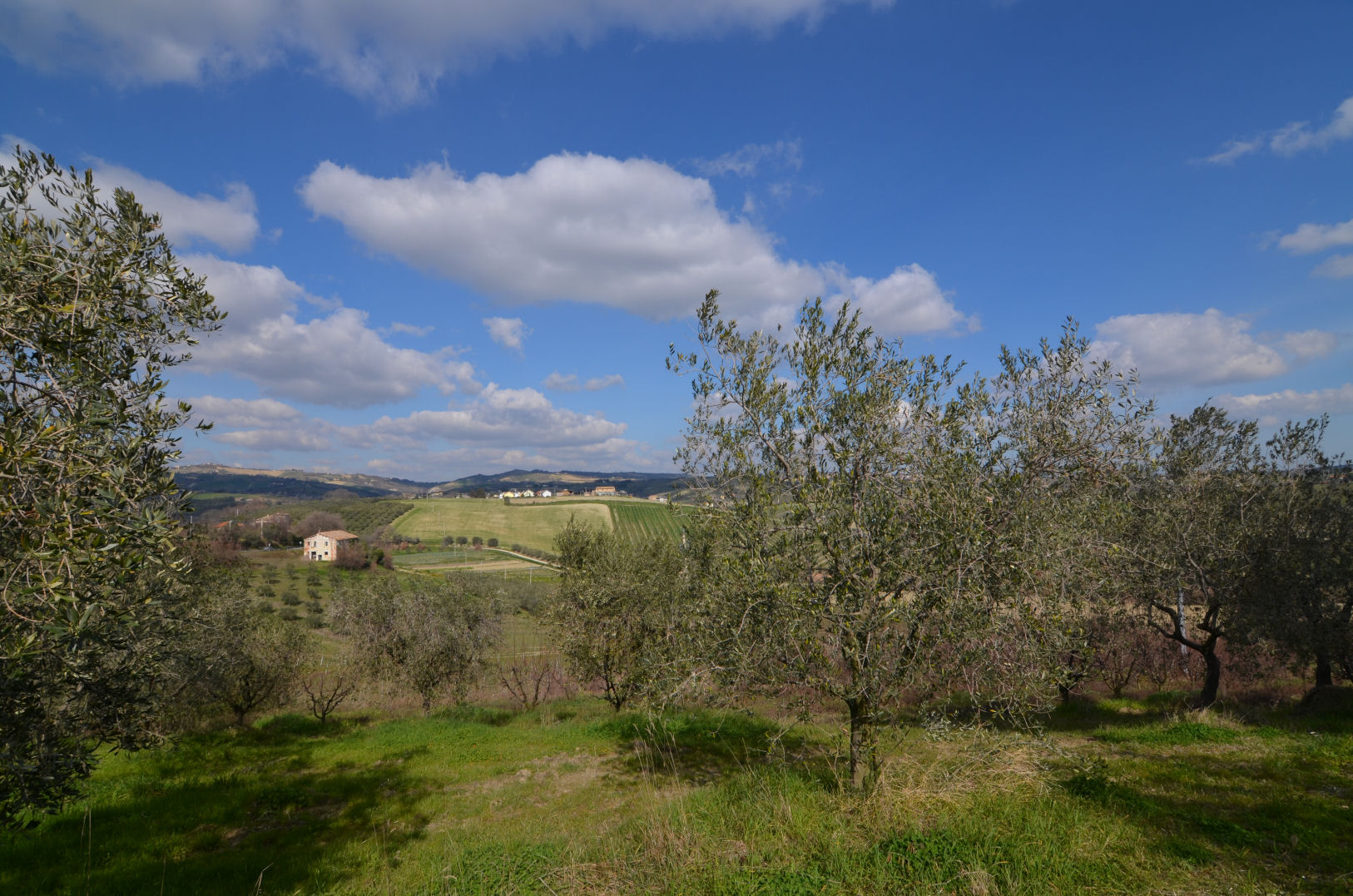 Casale Colonico Rustico in vendita a Appignano del Tronto, Collinare