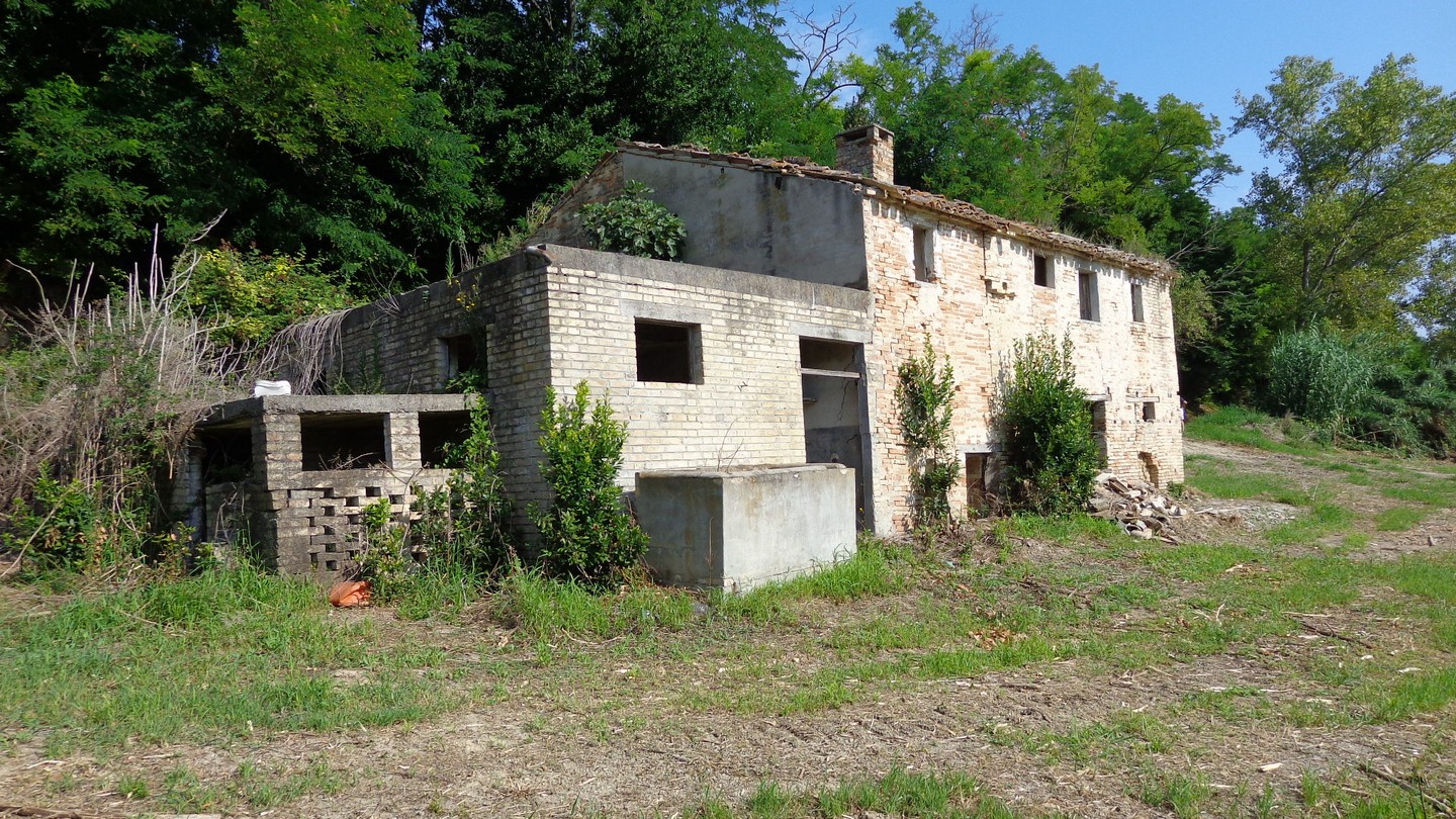 immagine annuncio 1 di 6