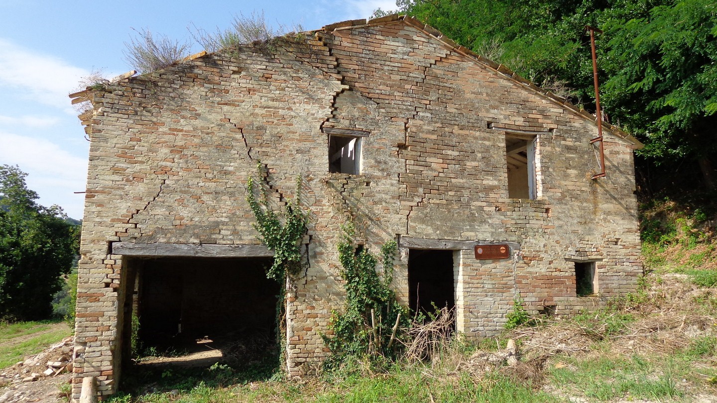 immagine annuncio 5 di 6