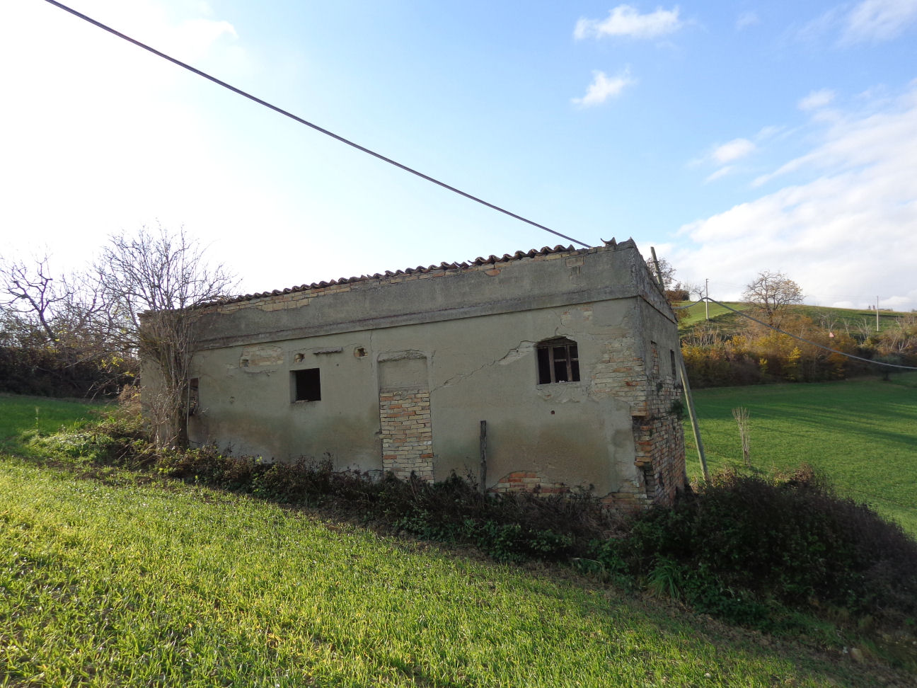 immagine annuncio 2 di 6