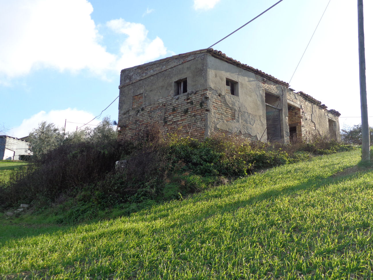 immagine annuncio 3 di 6