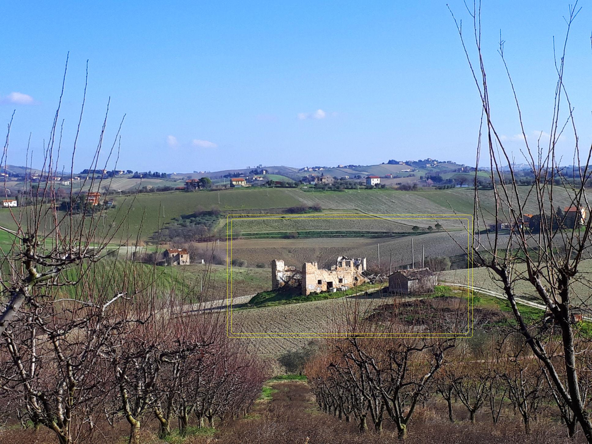 immagine annuncio 4 di 6