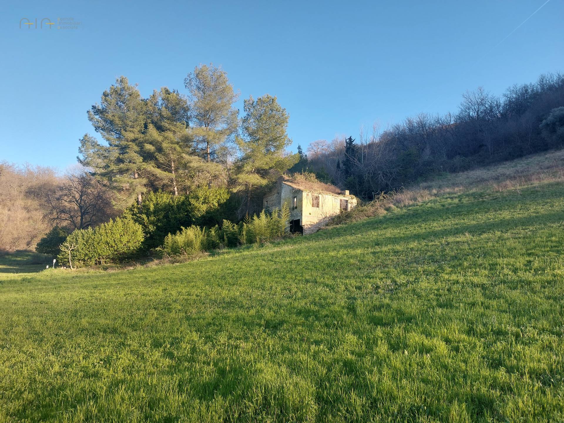 immagine annuncio 1 di 6