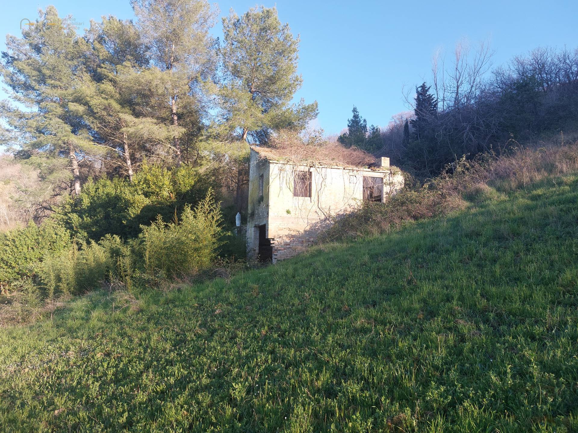 immagine annuncio 2 di 6