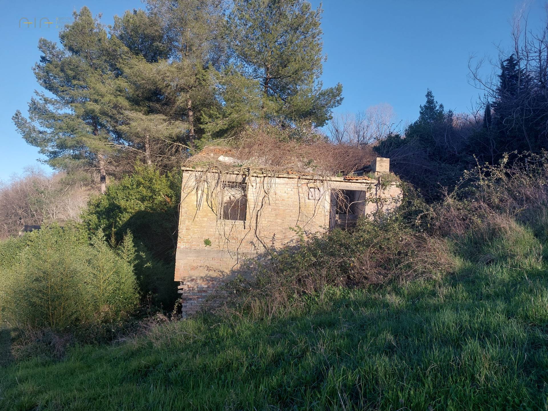 immagine annuncio 3 di 6