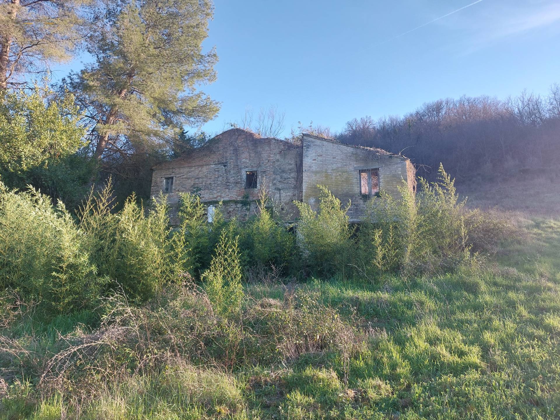 immagine annuncio 4 di 6