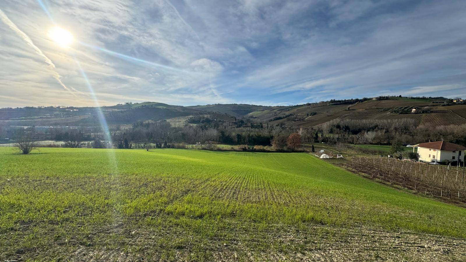 Casale Colonico Rustico in vendita a Offida, Santa Maria Goretti (val Tesino)
