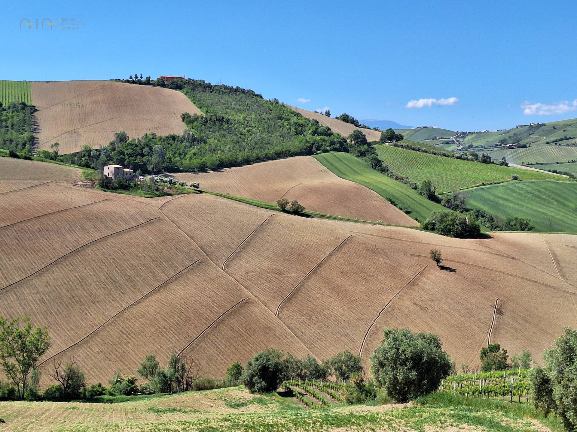 immagine annuncio 3 di 6