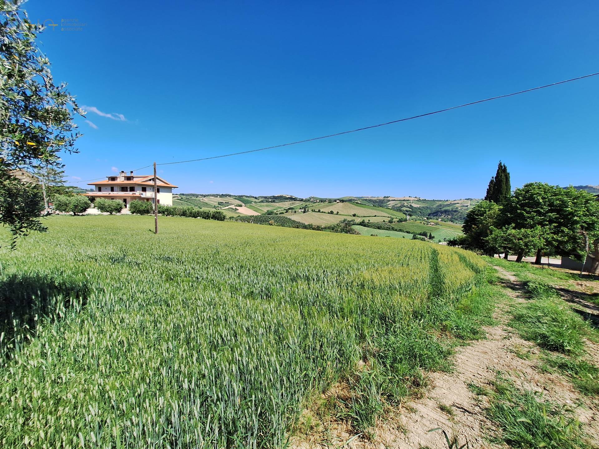 immagine annuncio 4 di 6