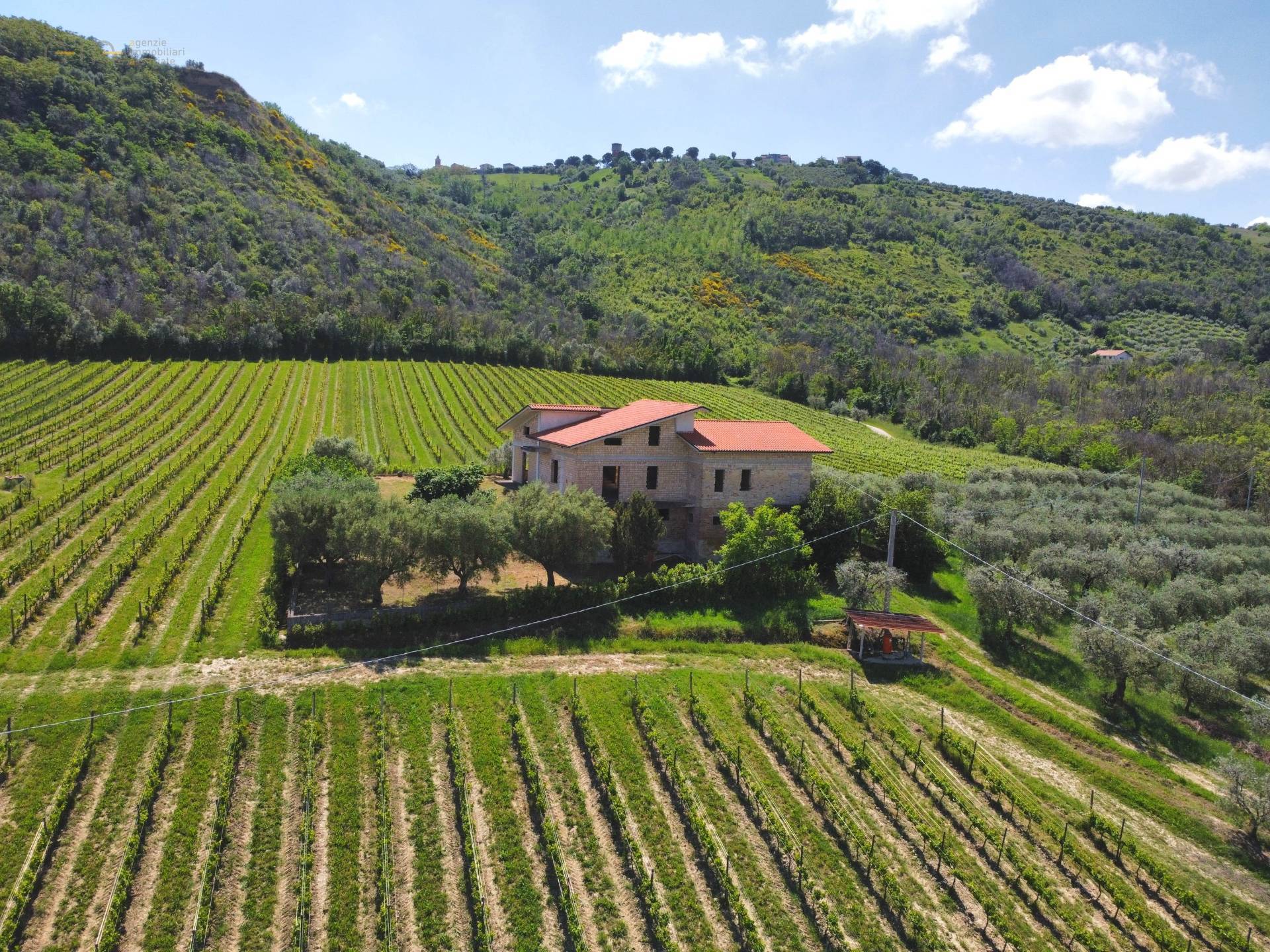 Casale Colonico Rustico in vendita a Controguerra, Collinare