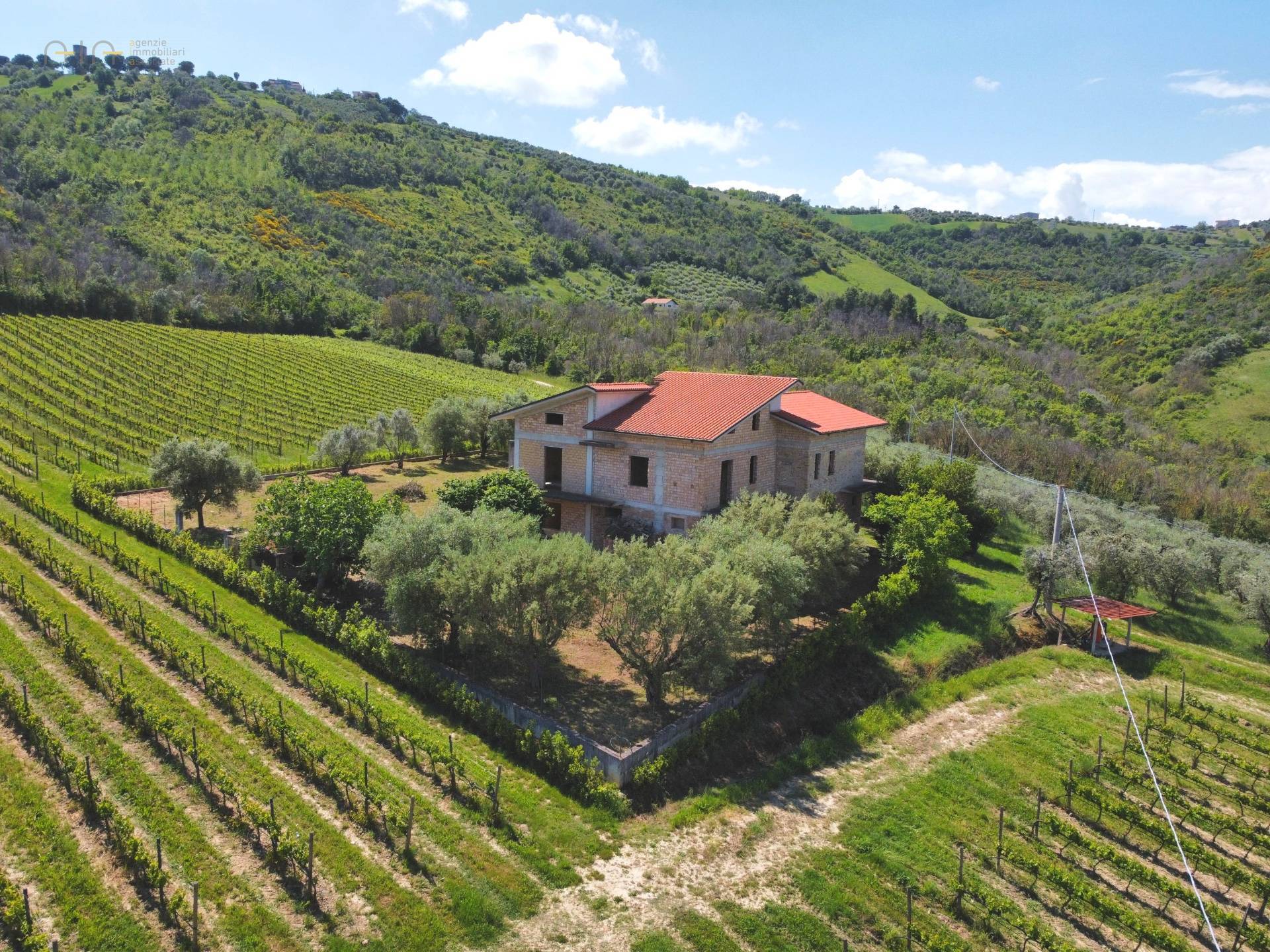 Casale Colonico Rustico in vendita a Controguerra, Collinare