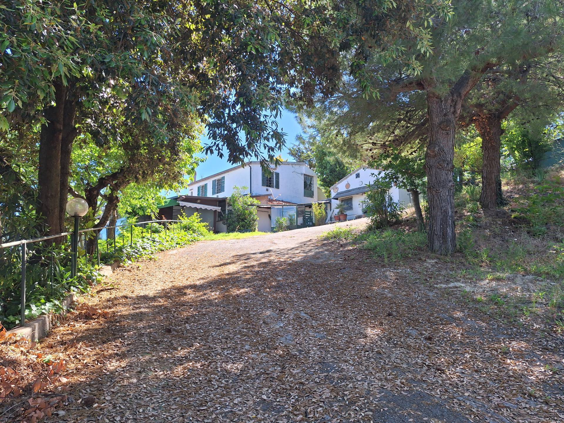 Casale Colonico Rustico in vendita a Colonnella, Collinare