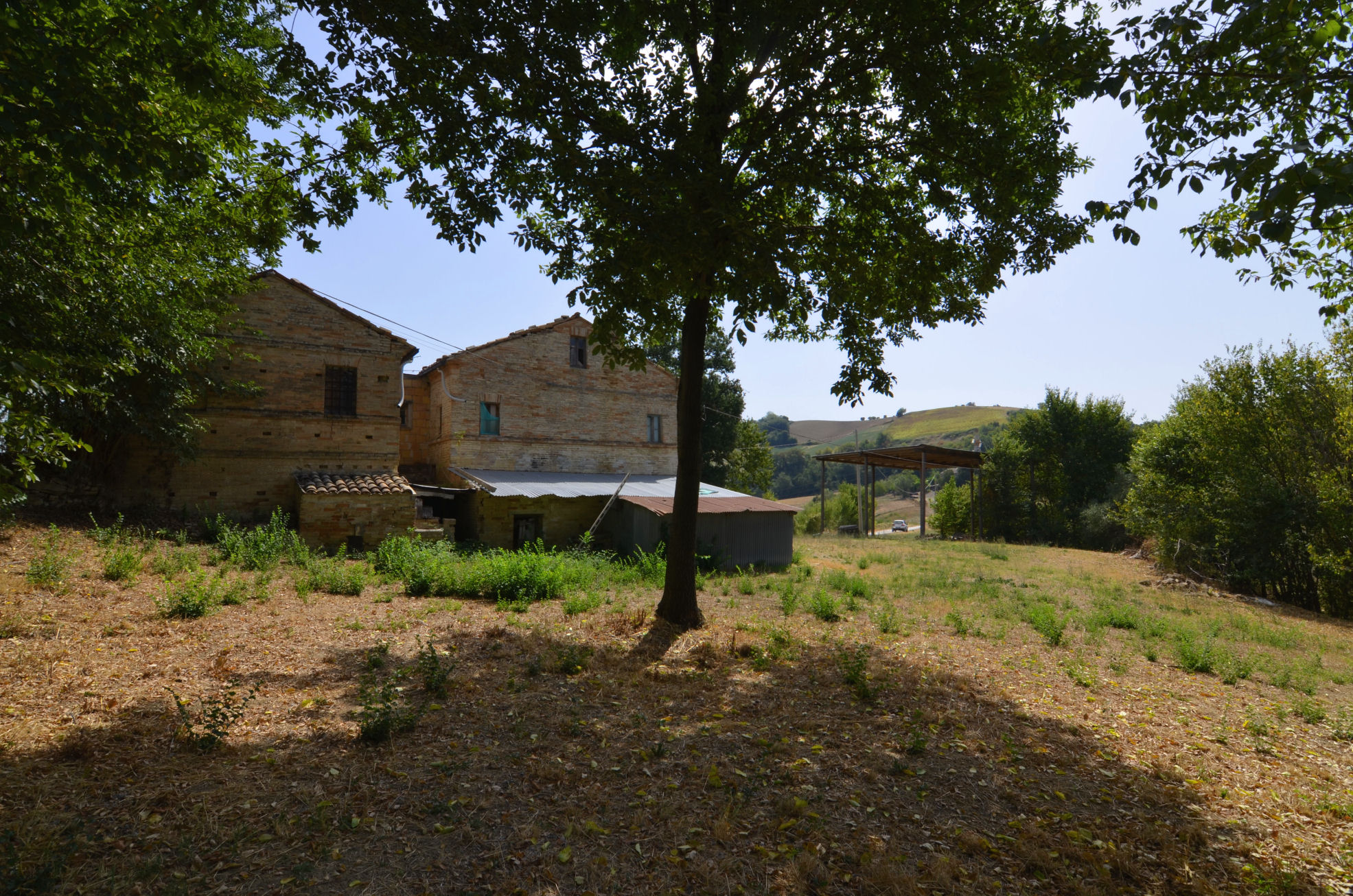 Casale Colonico Rustico in vendita a Monterubbiano, Collinare