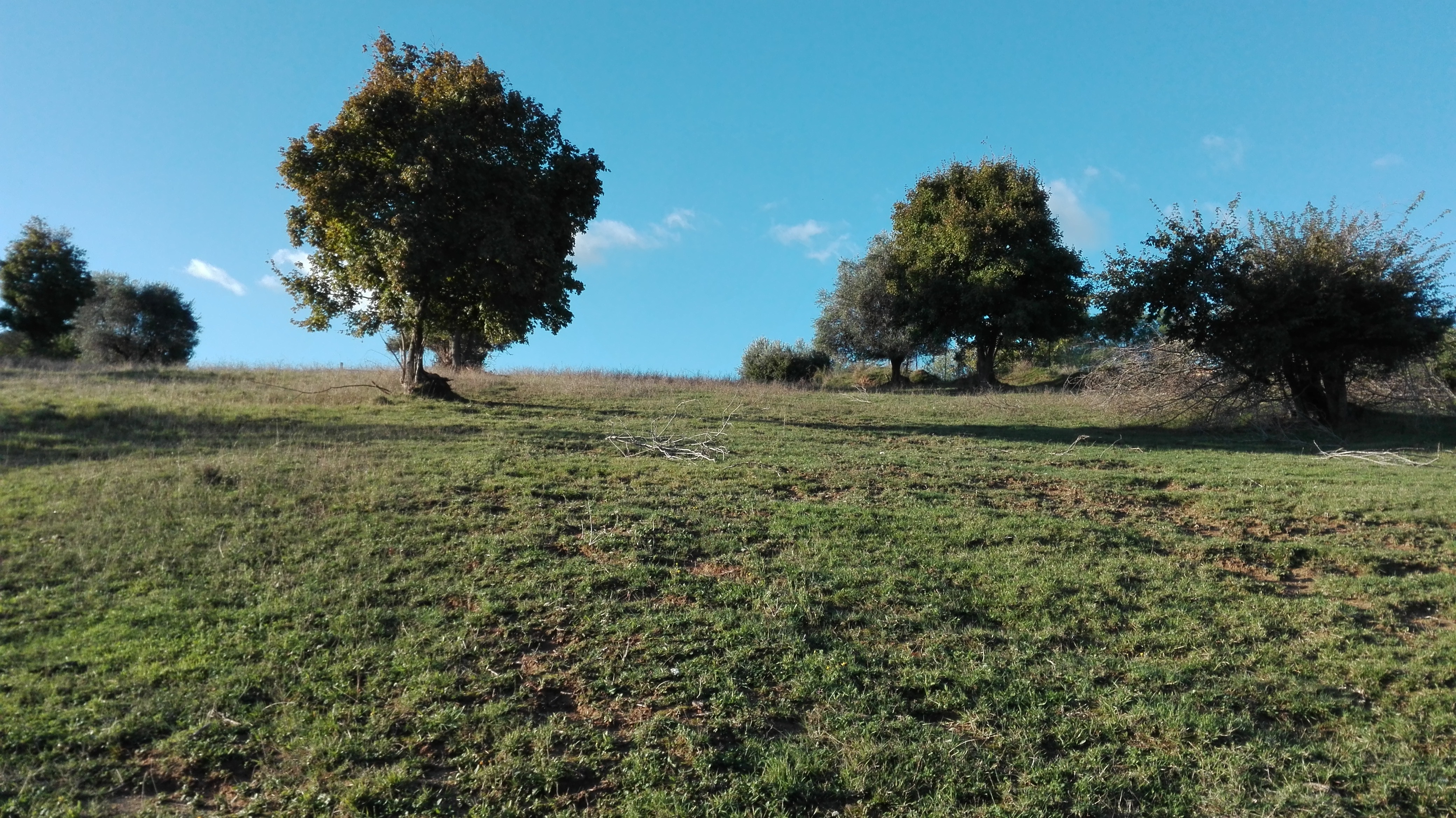 Terreno Agricolo (con / Senza Piccolo Prefabbricato) in vendita a Grottammare, Collinare (zona di ca