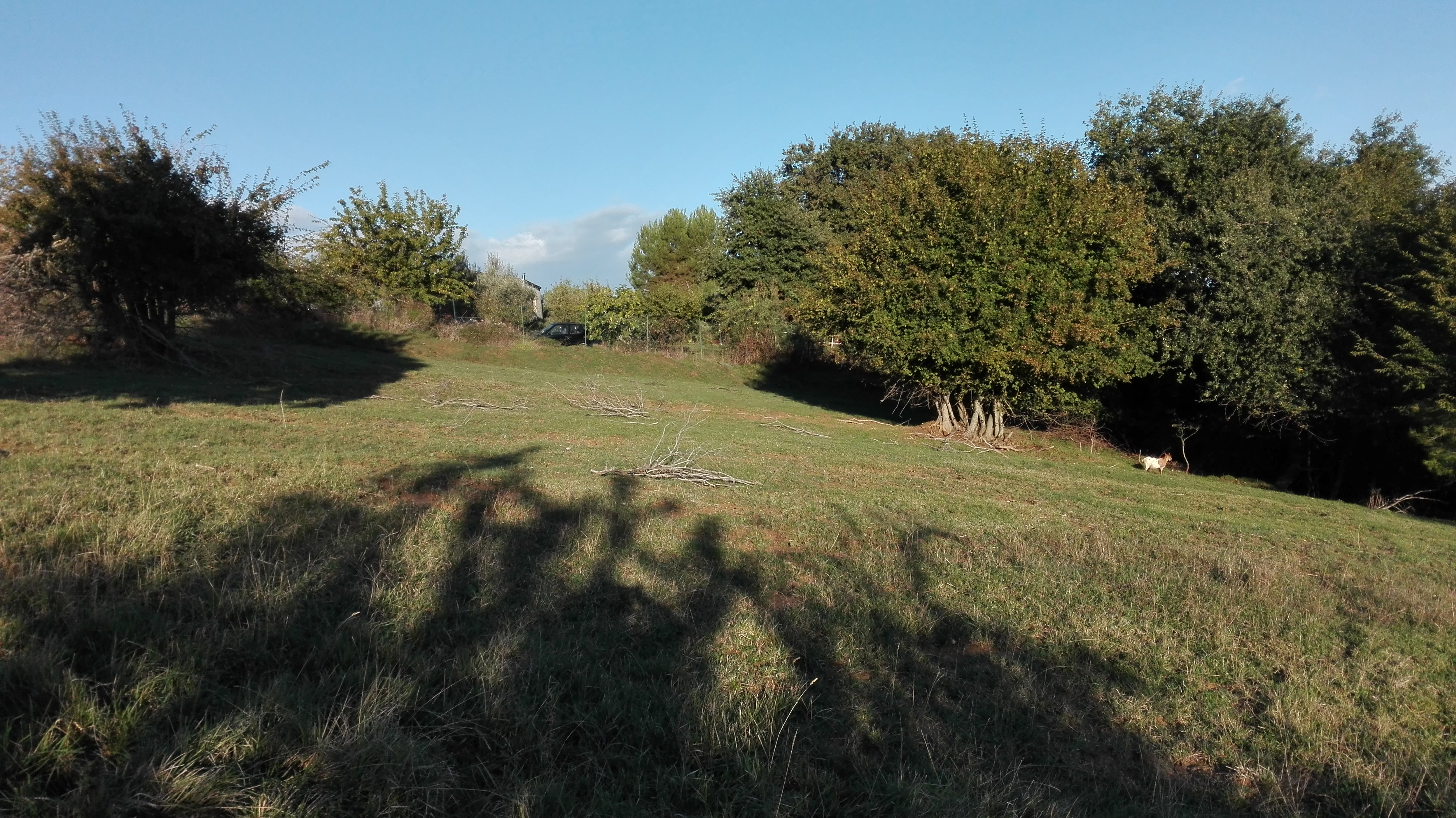 Terreno Agricolo (con / Senza Piccolo Prefabbricato) in vendita a Grottammare, Collinare (zona di ca