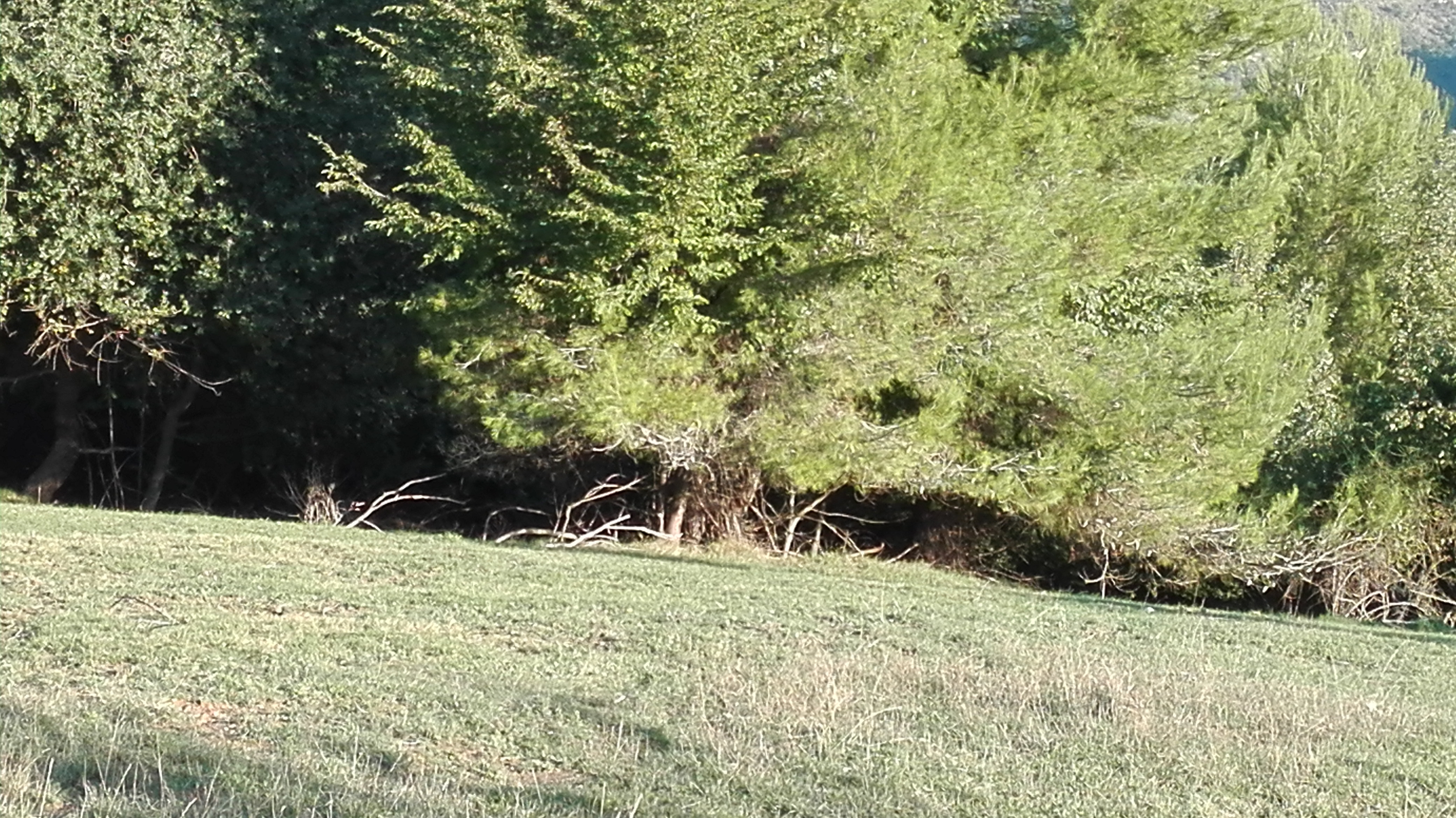 Terreno Agricolo (con / Senza Piccolo Prefabbricato) in vendita a Grottammare, Collinare (zona di ca