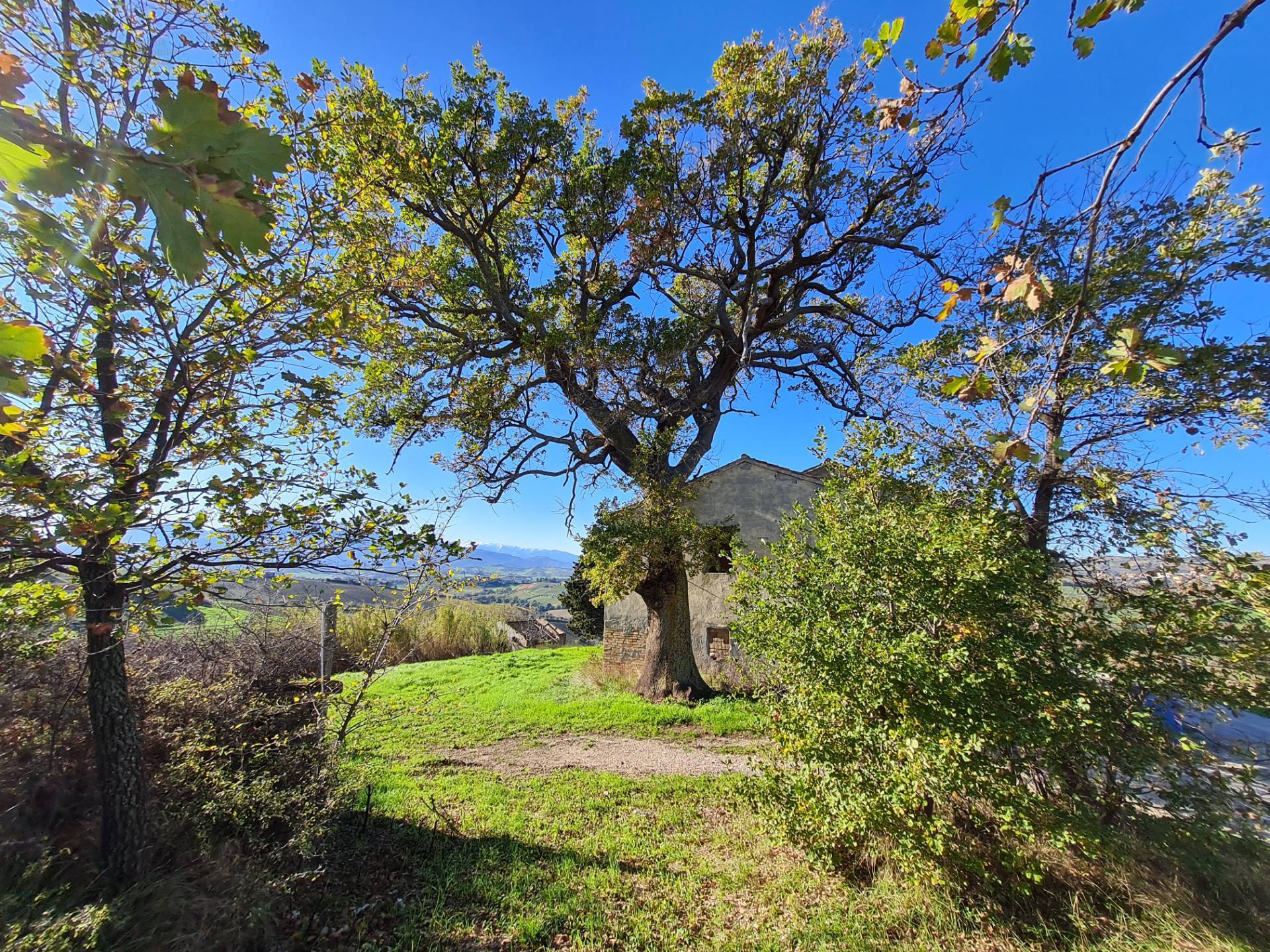 Casale Colonico Rustico in vendita a Offida, Collinare / Campagna