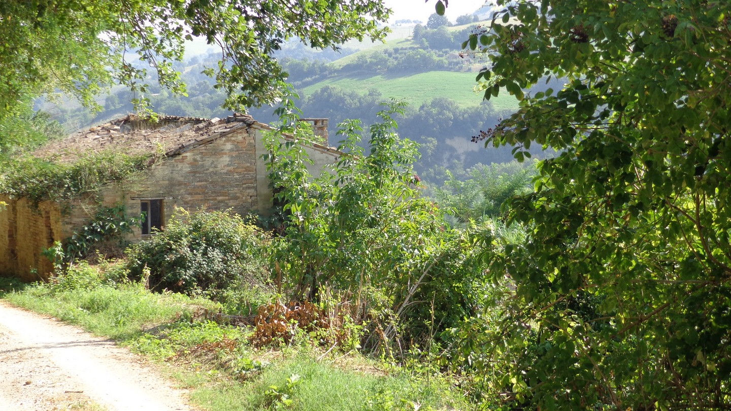 Casale Colonico Rustico in vendita a Petritoli, Zona Collinare