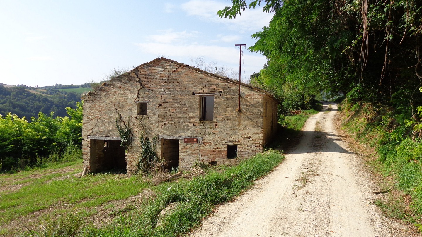 Casale Colonico Rustico in vendita a Petritoli, Zona Collinare