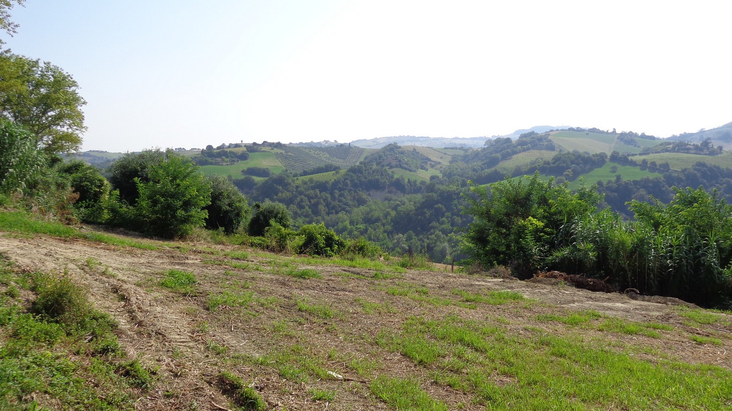 Casale Colonico Rustico in vendita a Petritoli, Zona Collinare