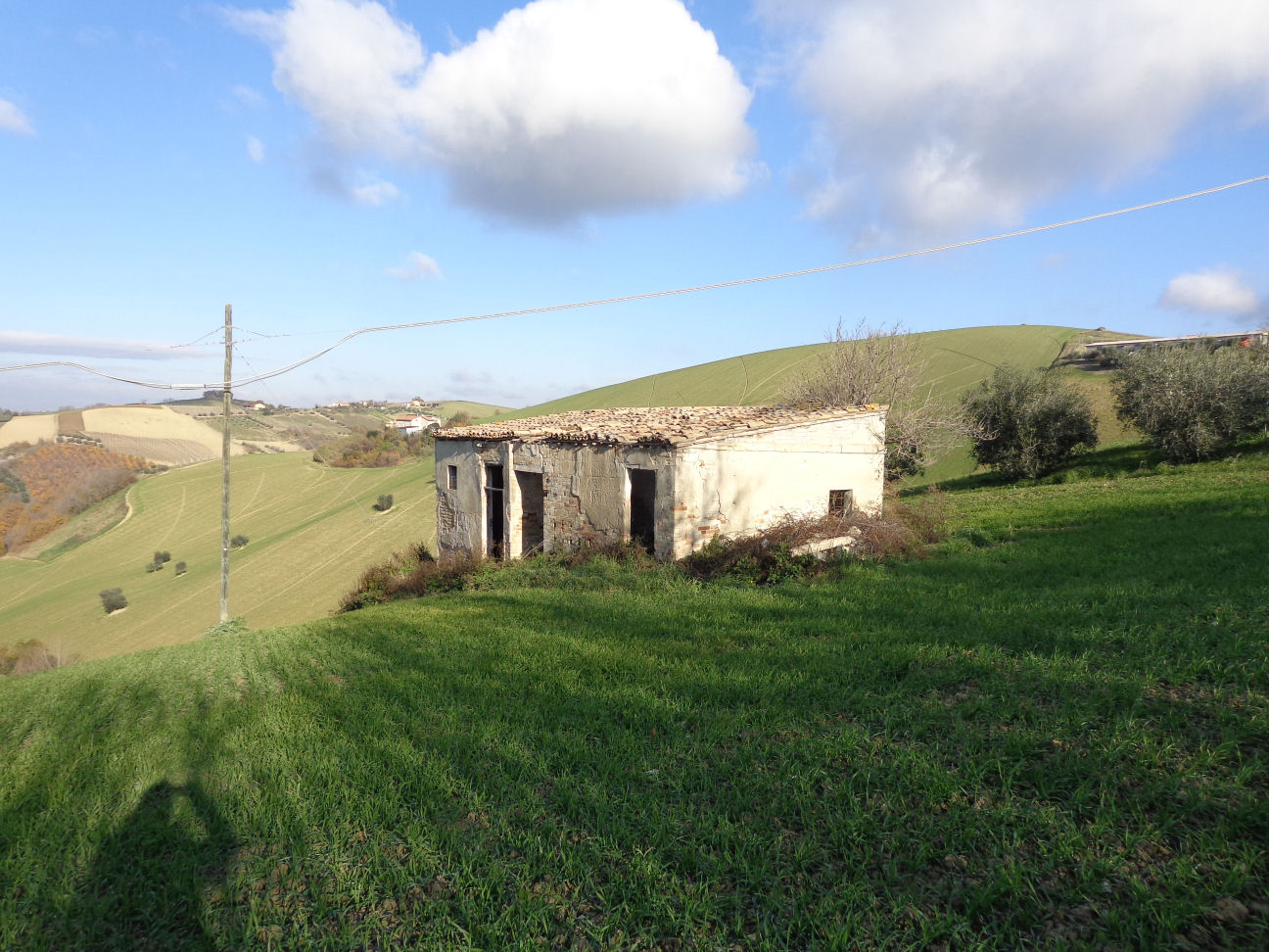 Casale Colonico Rustico in vendita a Cossignano, Collinare / Campagna