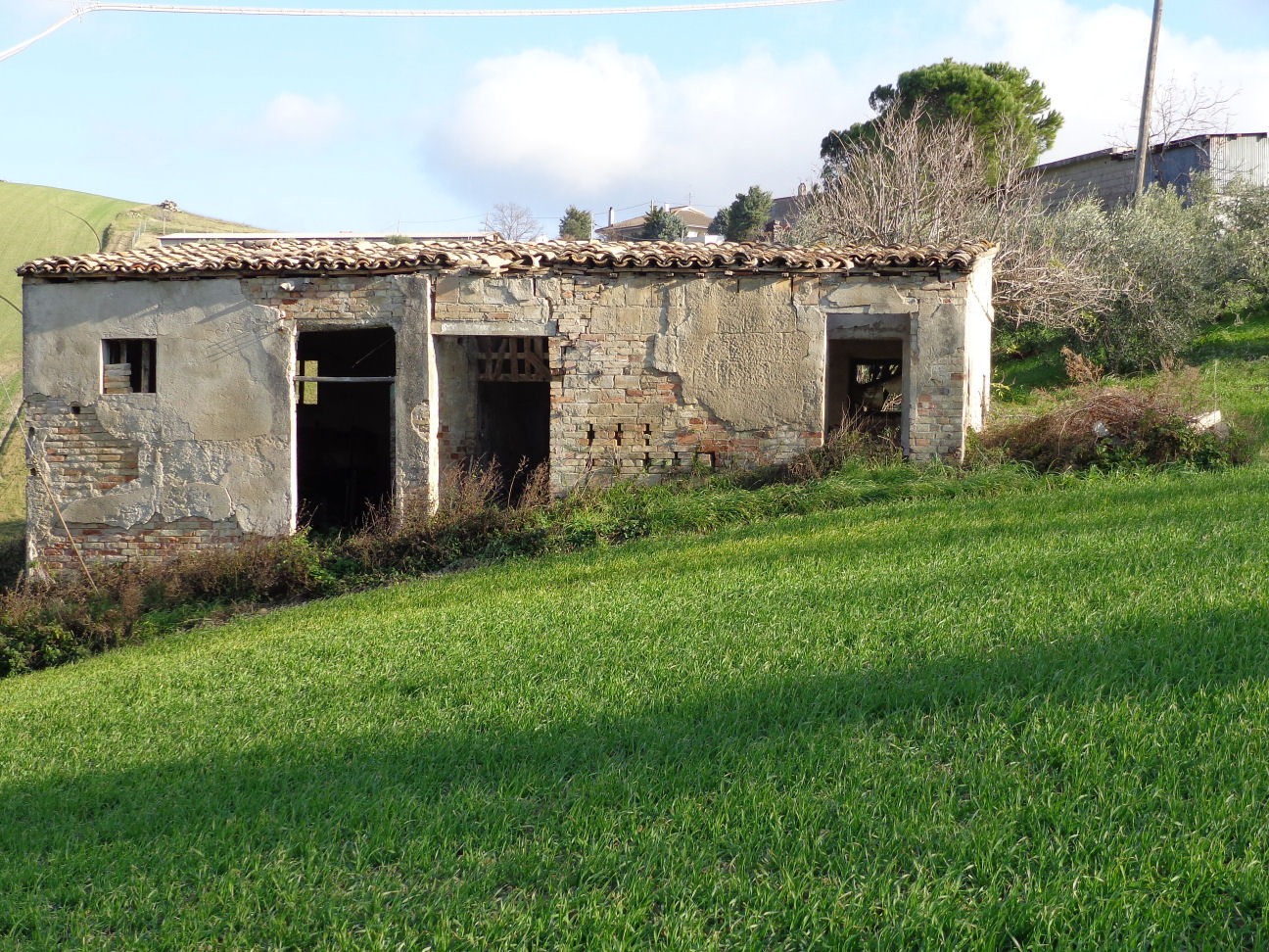 Casale Colonico Rustico in vendita a Cossignano, Collinare / Campagna