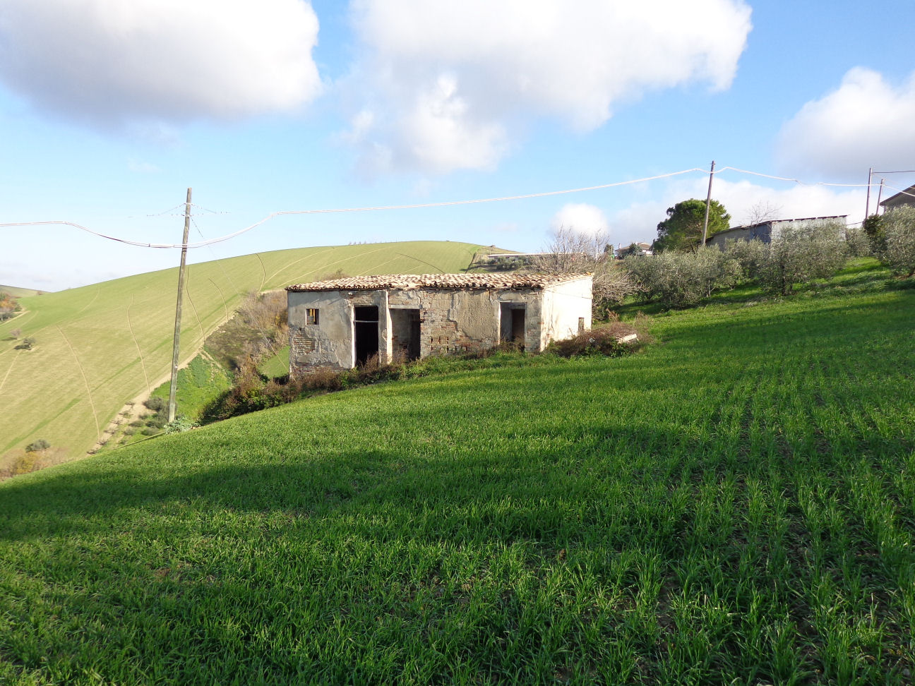 Casale Colonico Rustico in vendita a Cossignano, Collinare / Campagna
